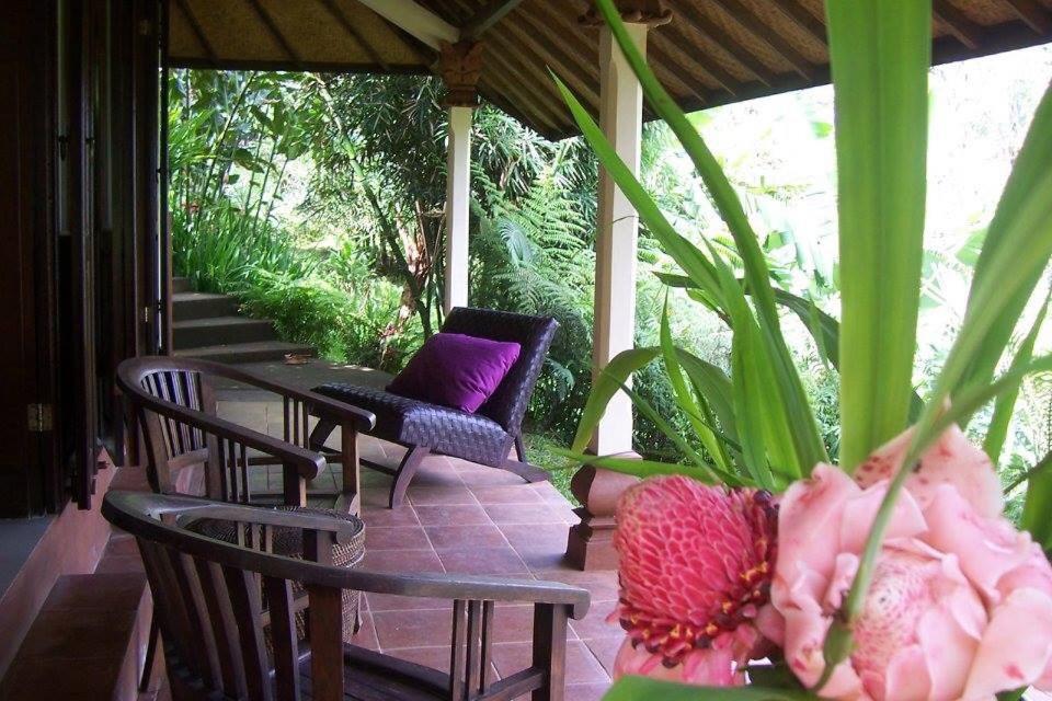 Deluxe Bungalow with Garden View photo 2