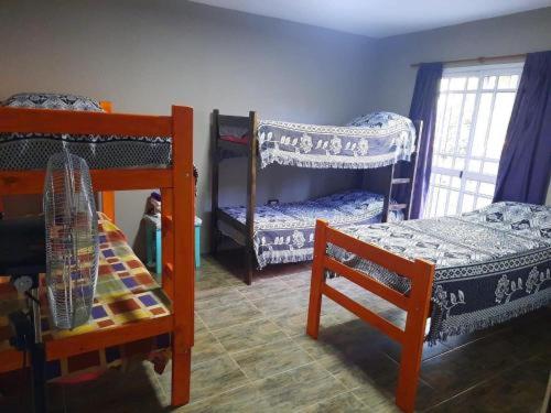 Bed in 6-Bed Mixed Dormitory Room photo 1