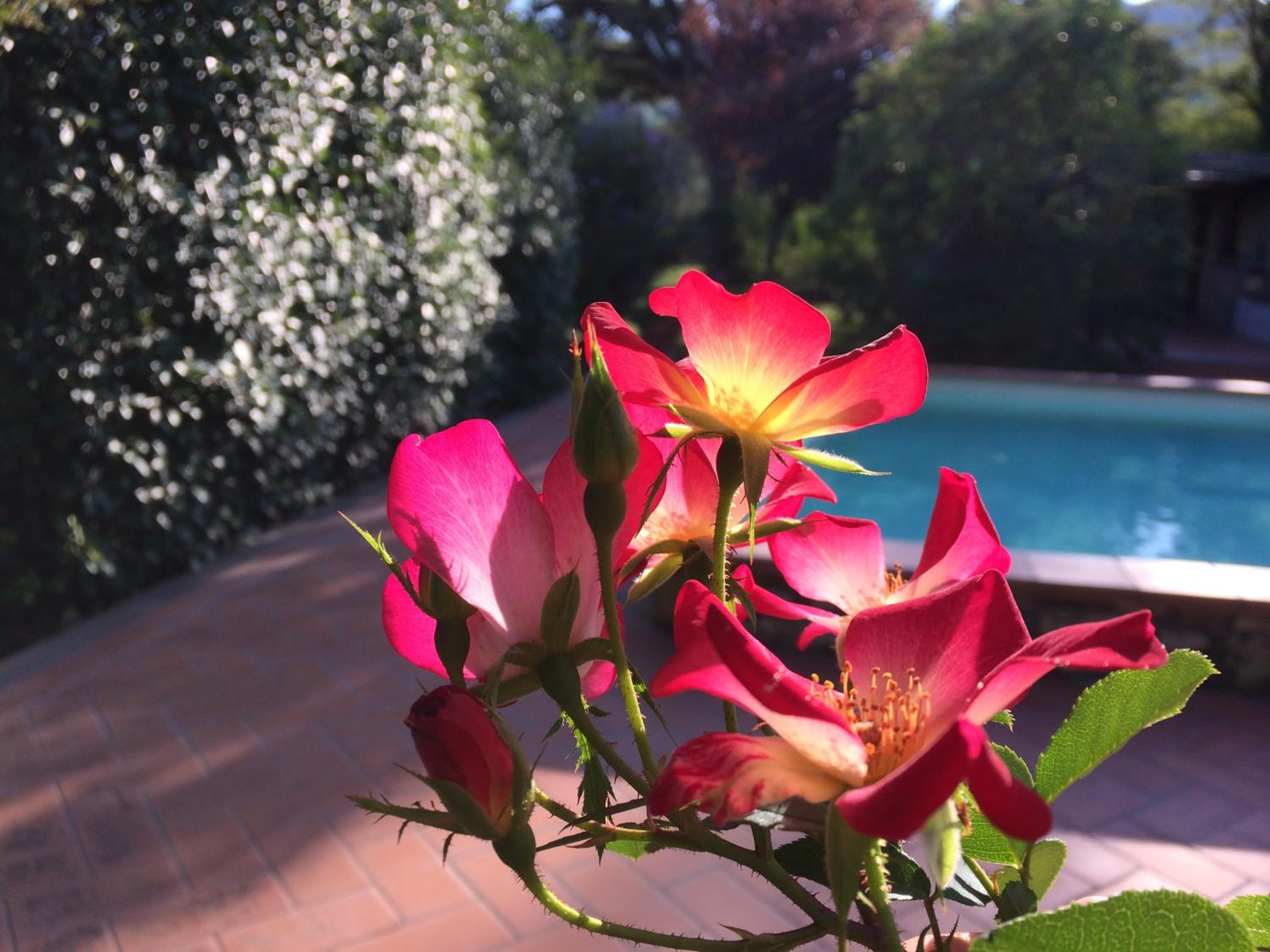 Villa photo 3