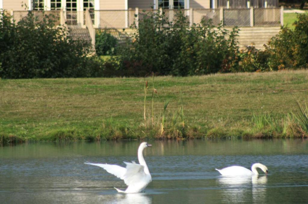 Vacation Home photo 2