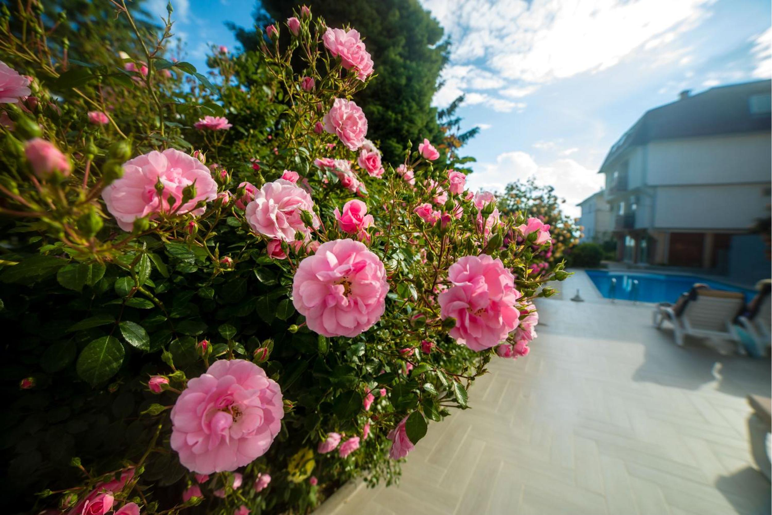 Quadruple Room with Garden View - Photo 1
