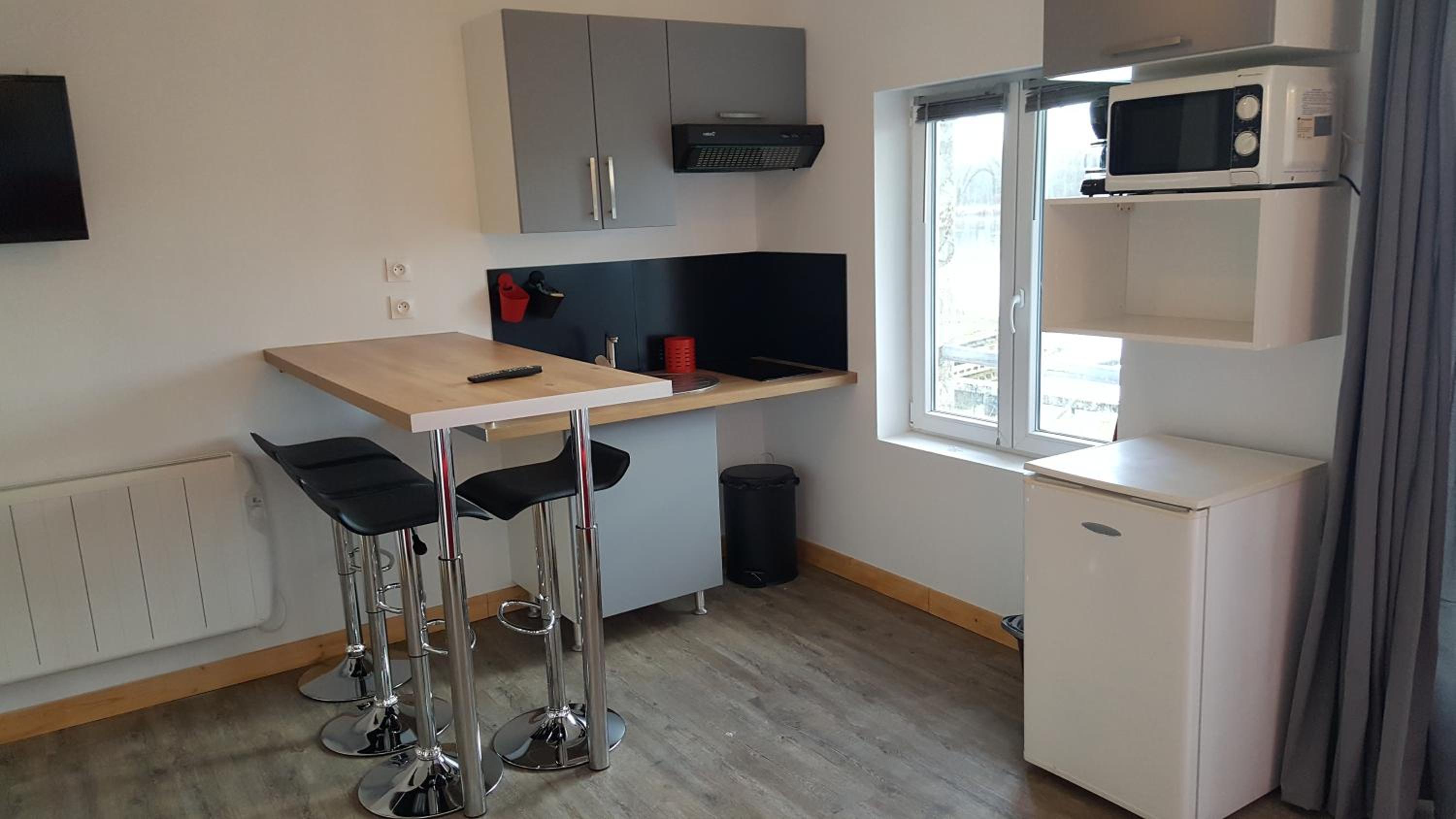 Studio with Lake View - Photo 6
