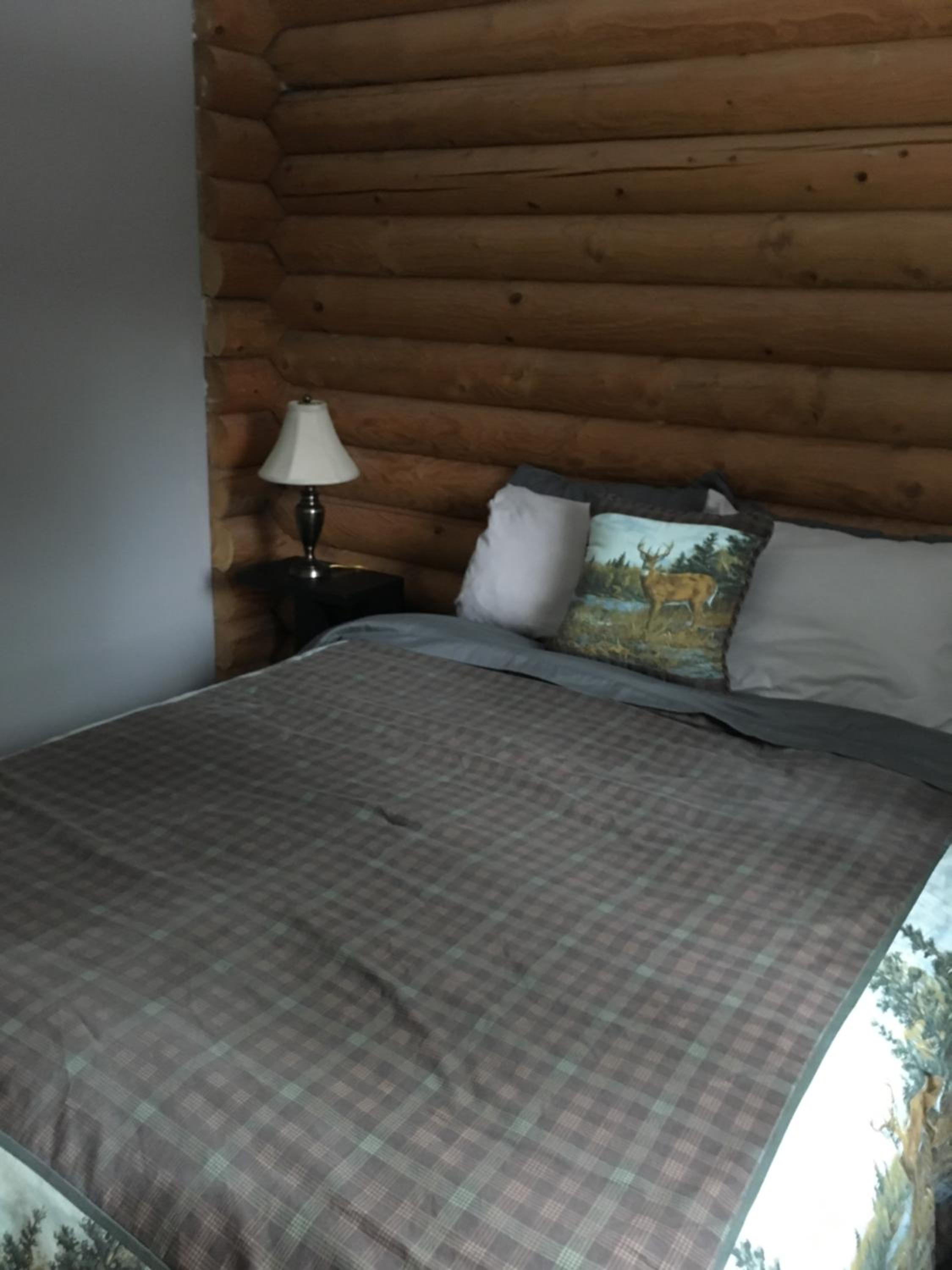 Cabin Suite photo 1
