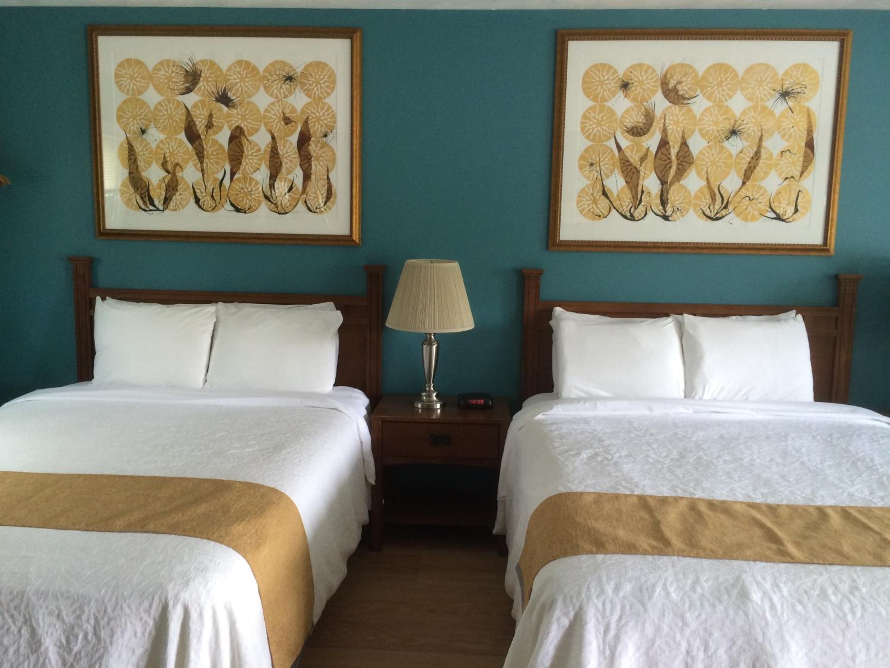 Deluxe Room photo 3