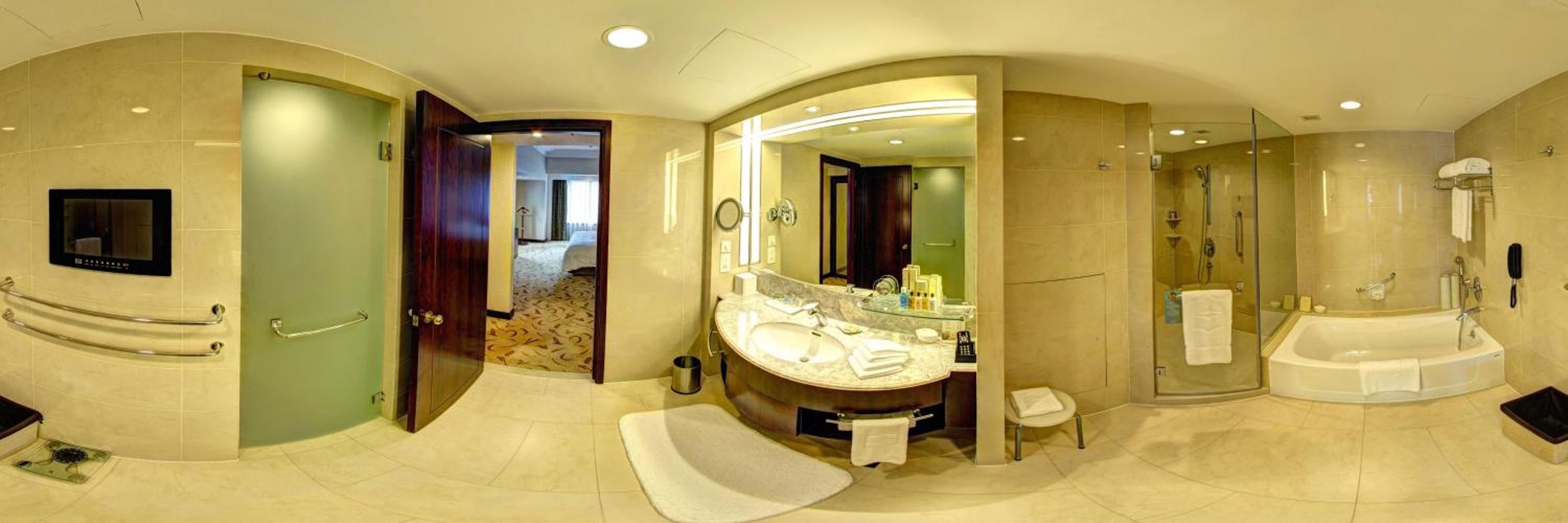 One-Bedroom Suite photo 2