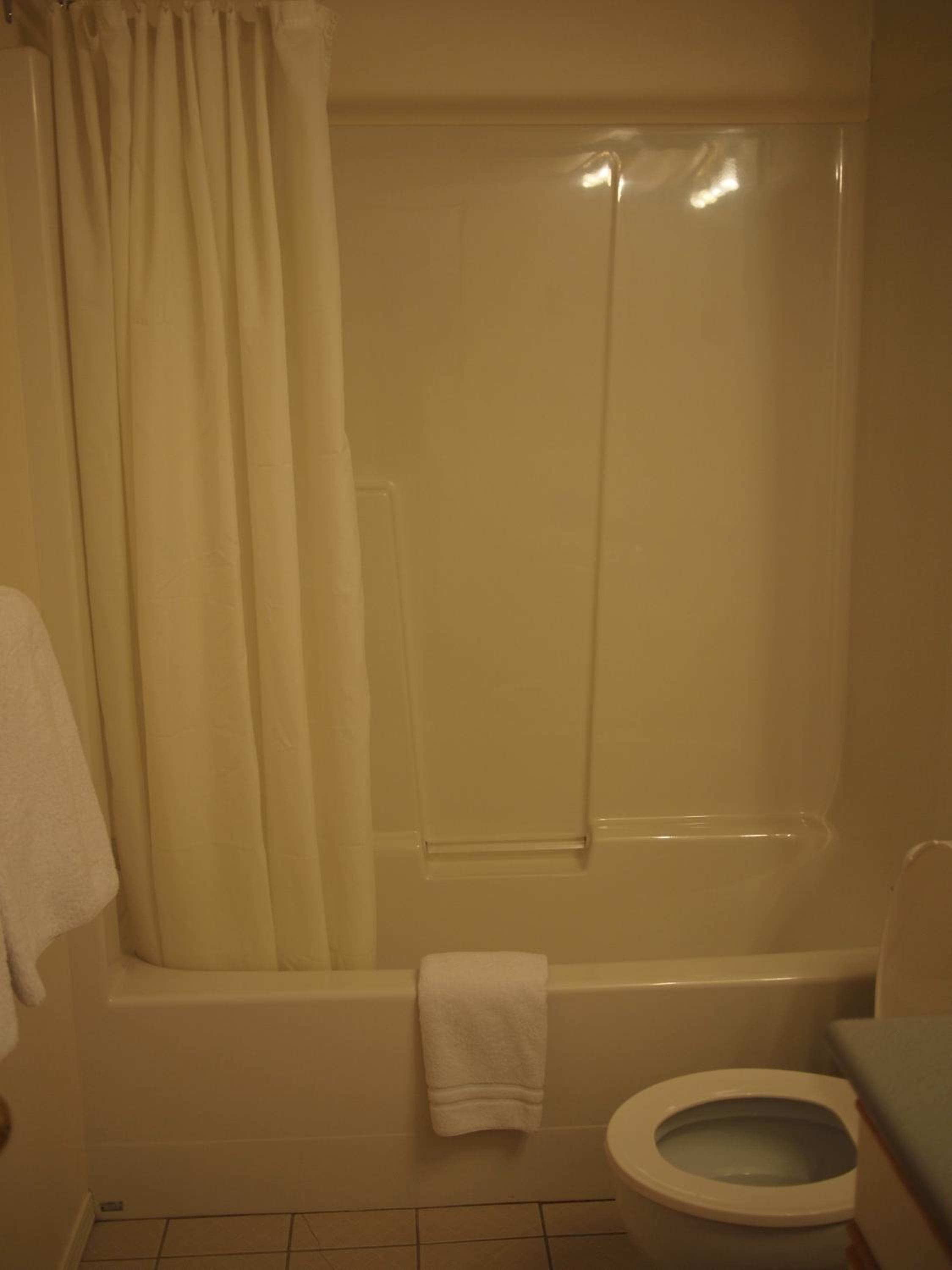 One-Bedroom Suite photo 3