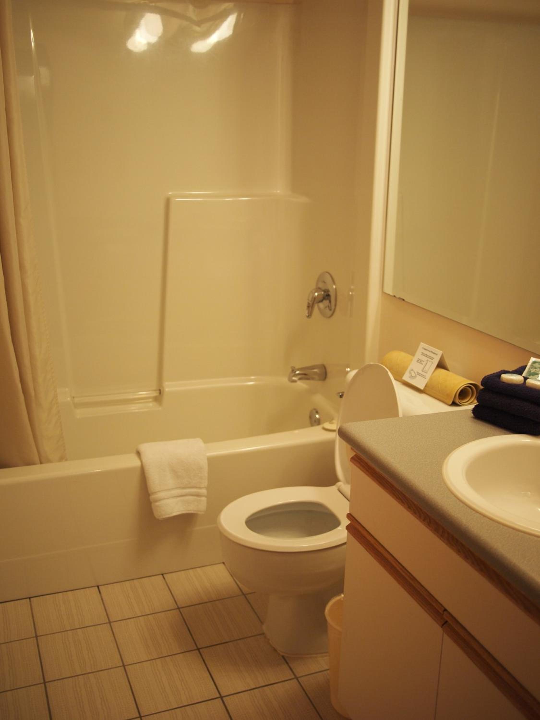 One-Bedroom Suite photo 2