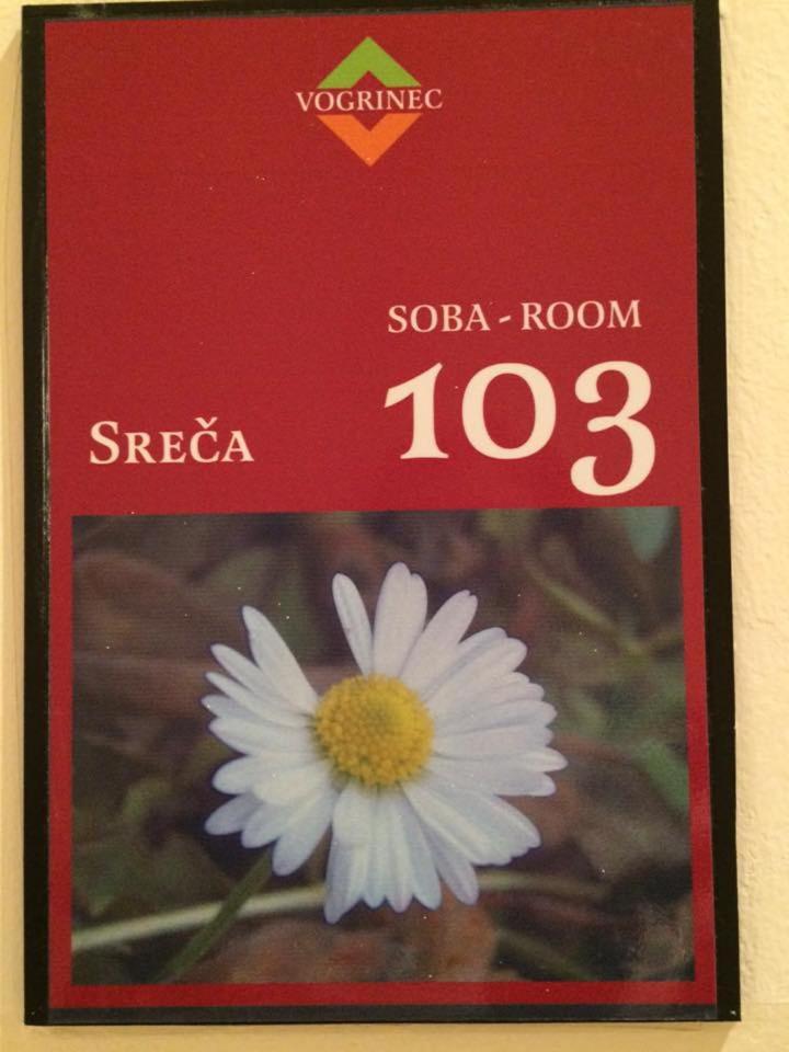 Double or Twin Room with View - Photo 6