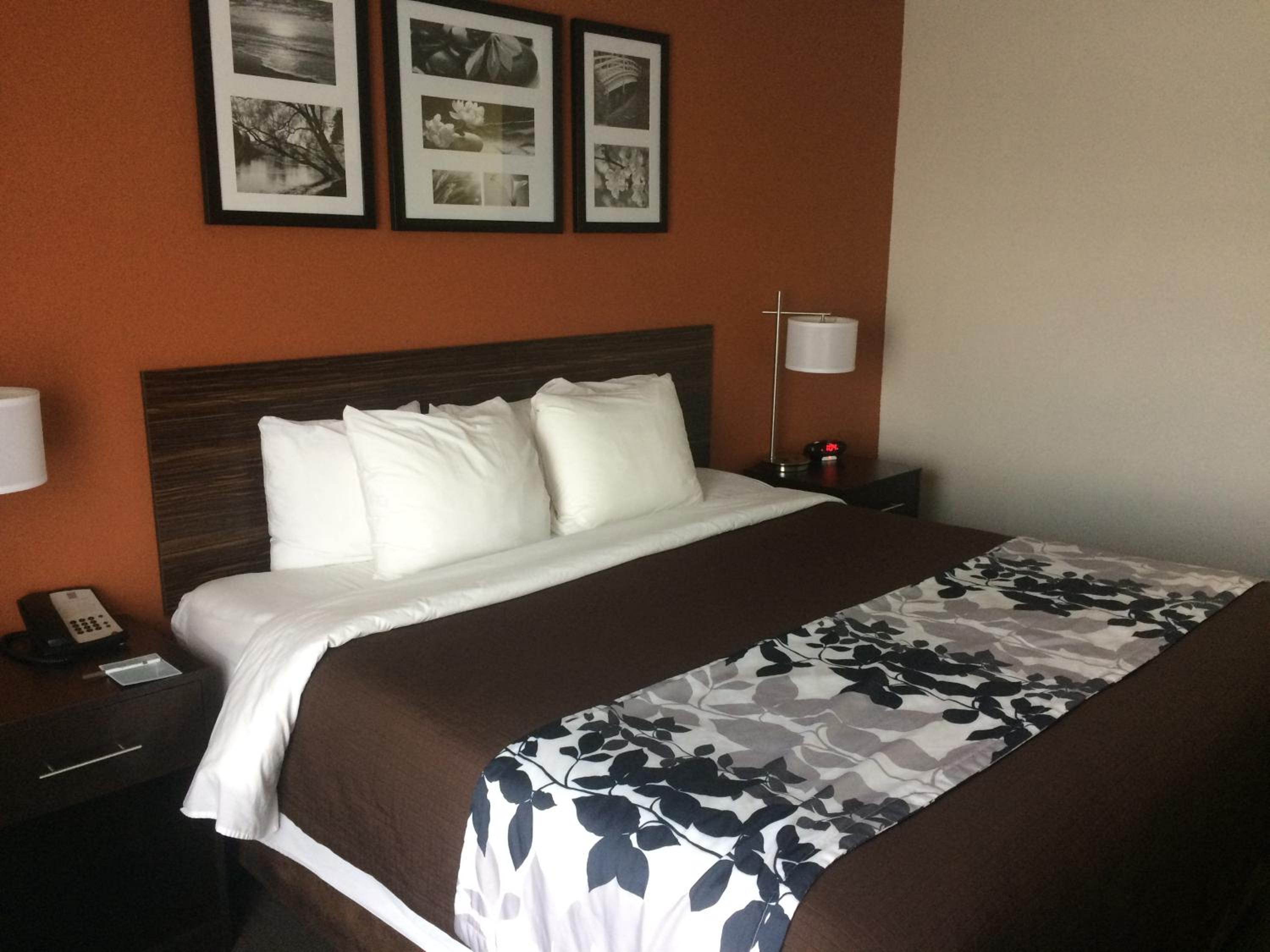 King Room - Accessible/Non-Smoking photo 1