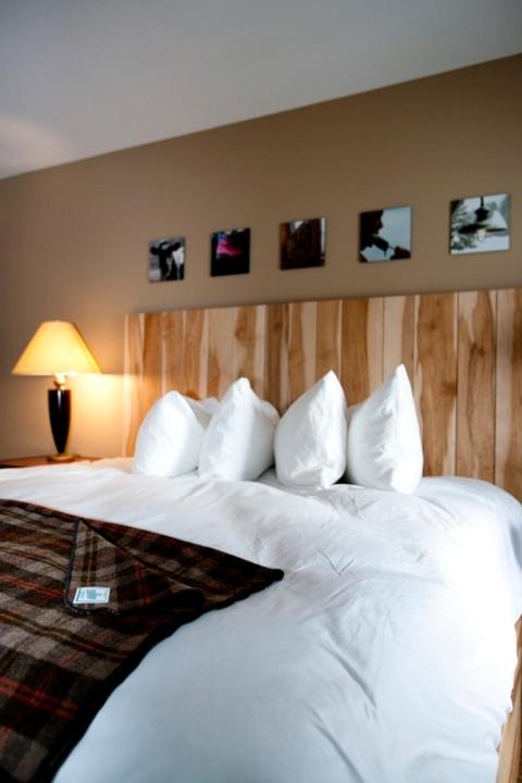 One-Bedroom Suite at Tram Haus Lodge photo 1