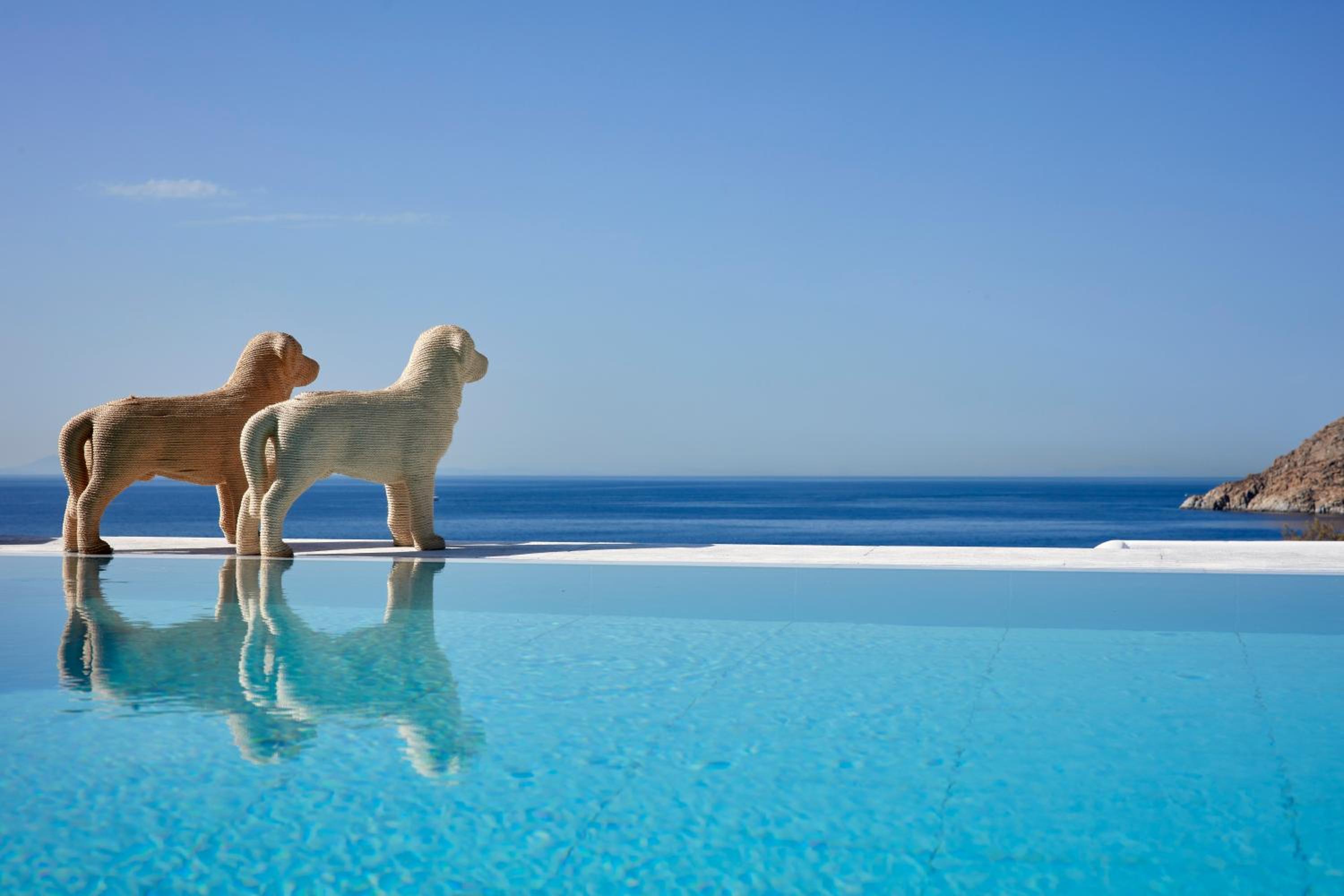 Grand Executive Suite with Private Pool - Photo 8