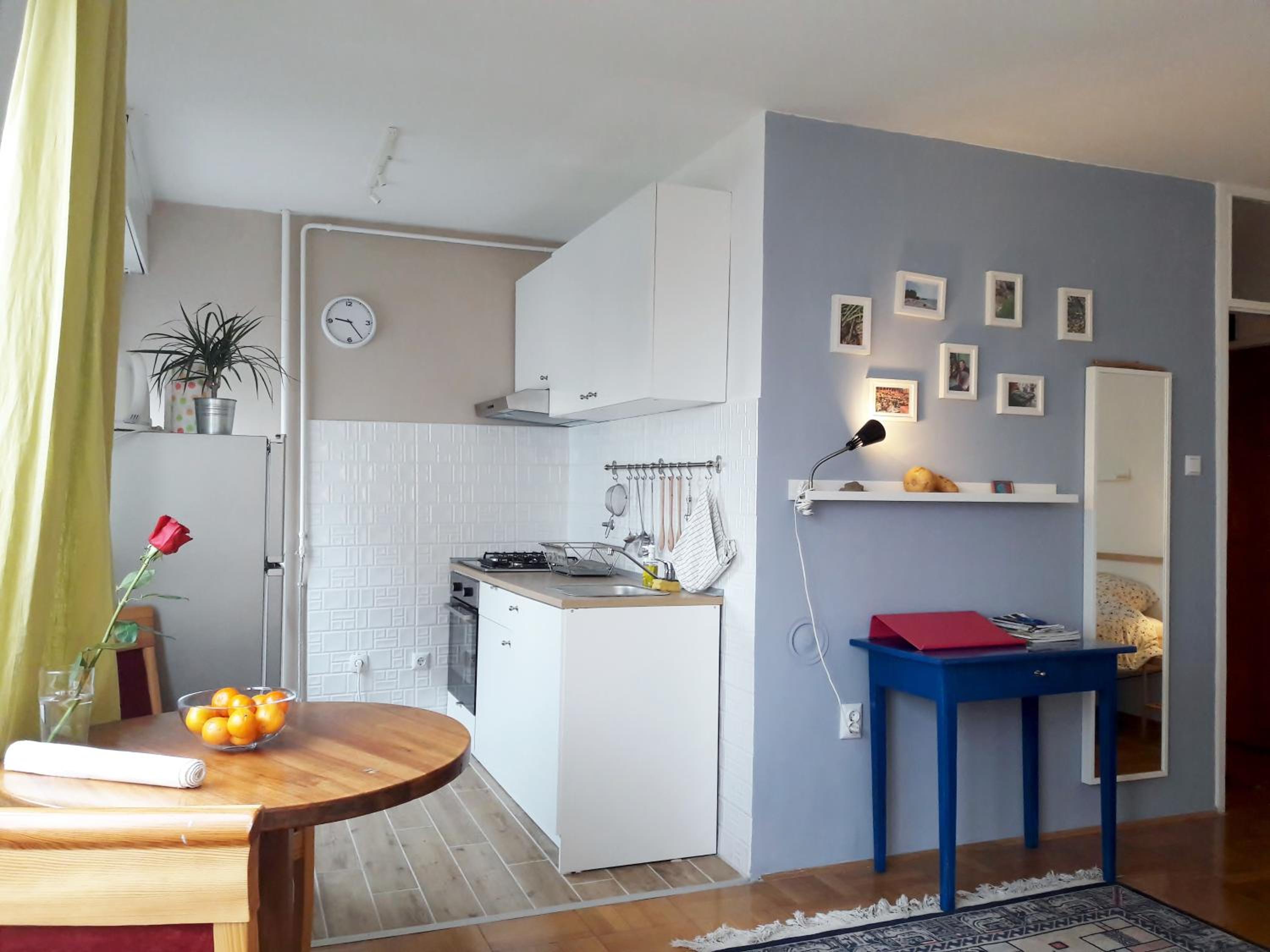 Studio Apartment - Photo 7