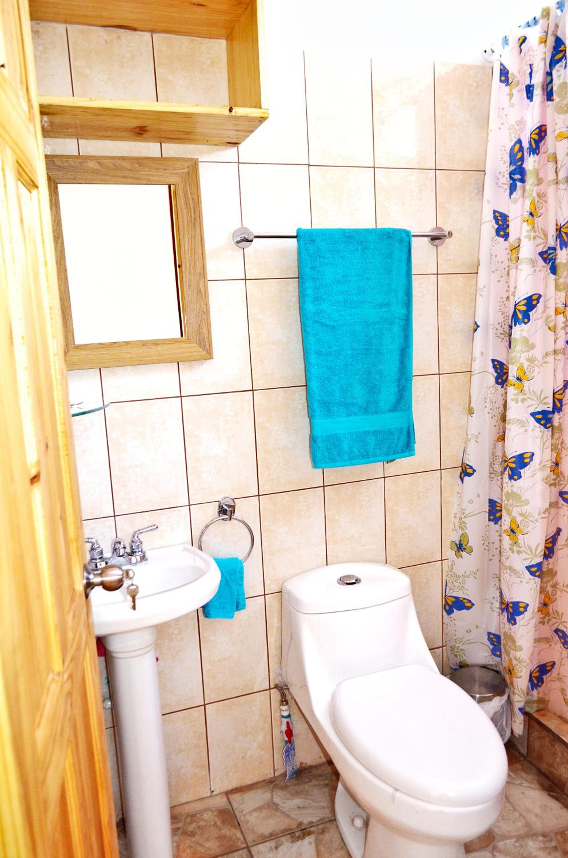 Deluxe King Studio photo 1
