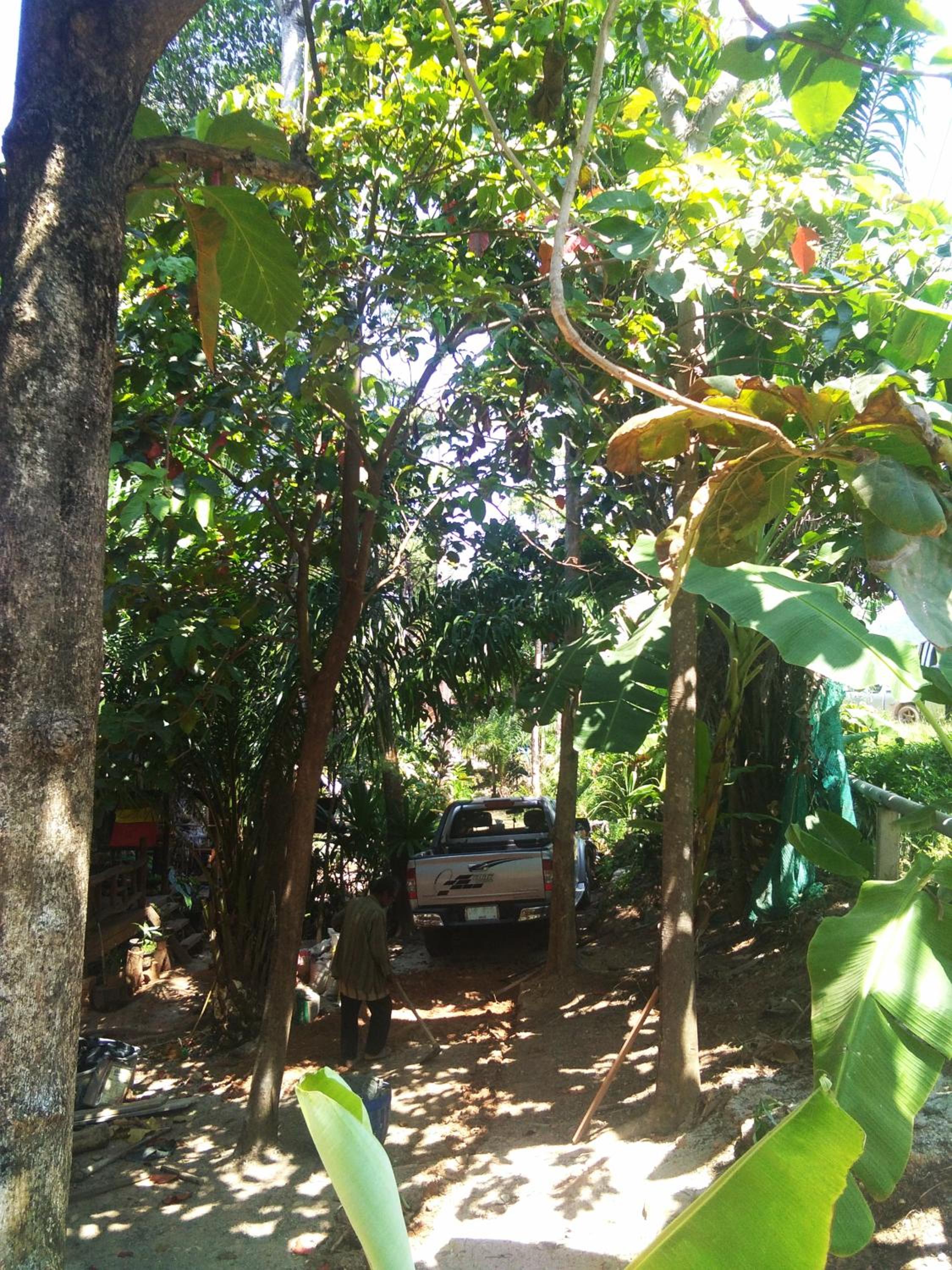 Superior Bungalow with Road Side photo 2