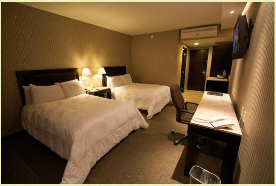 Deluxe Double Room photo 1
