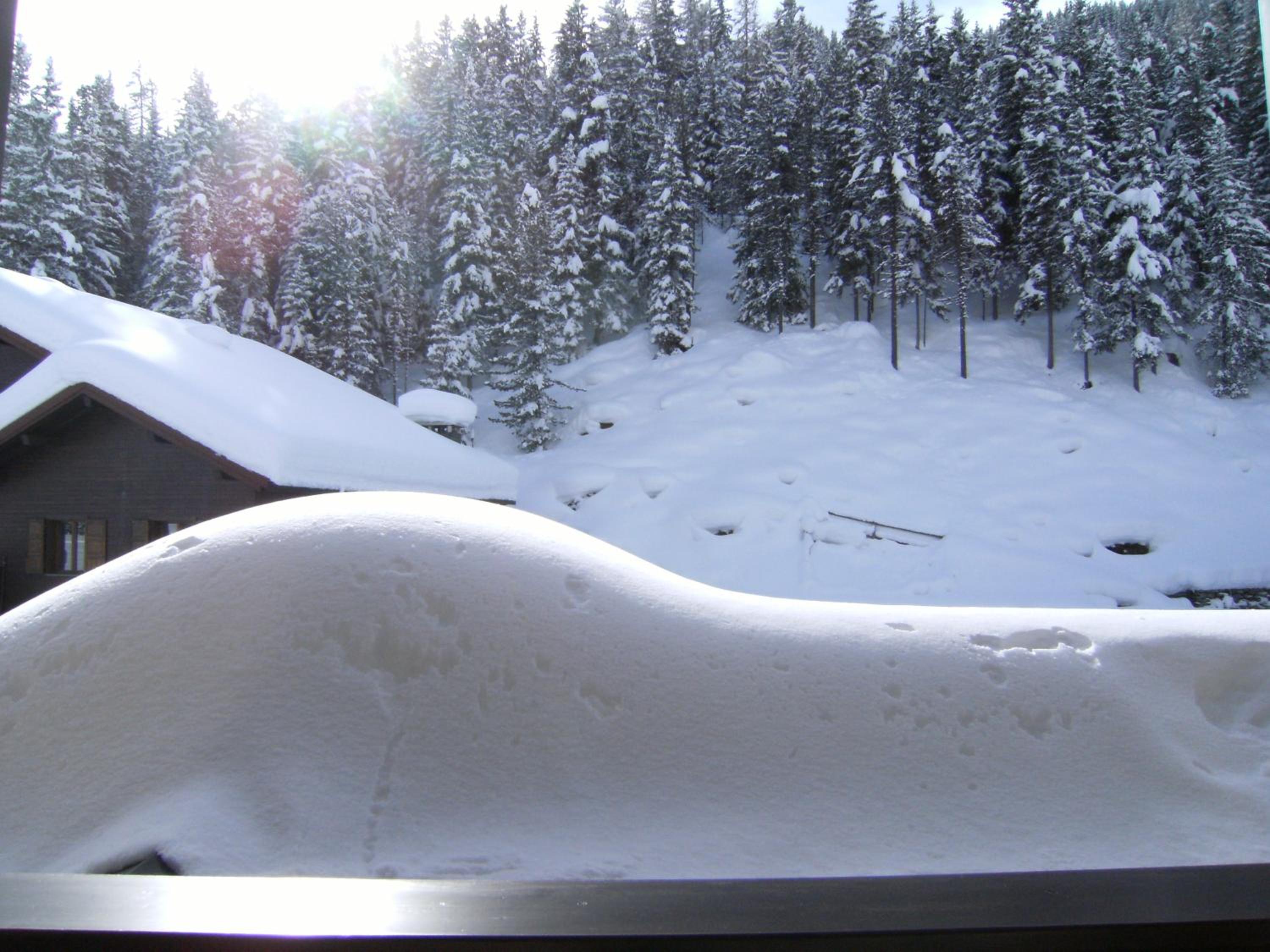 Single Room with Balcony photo 3