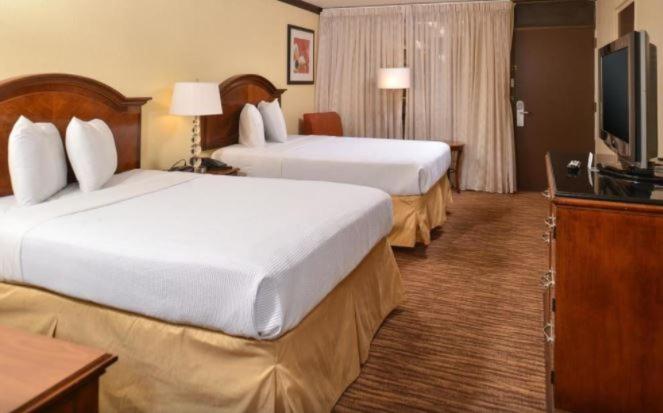 Quadruple Room with Two Queen Beds - Non Smoking photo 3
