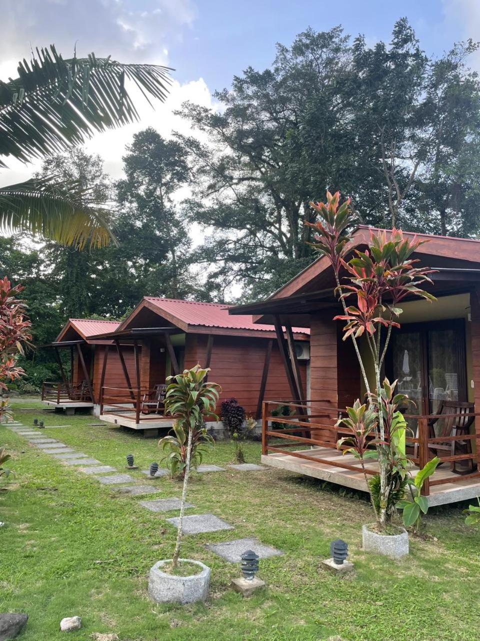 Double Room with Garden View photo 1