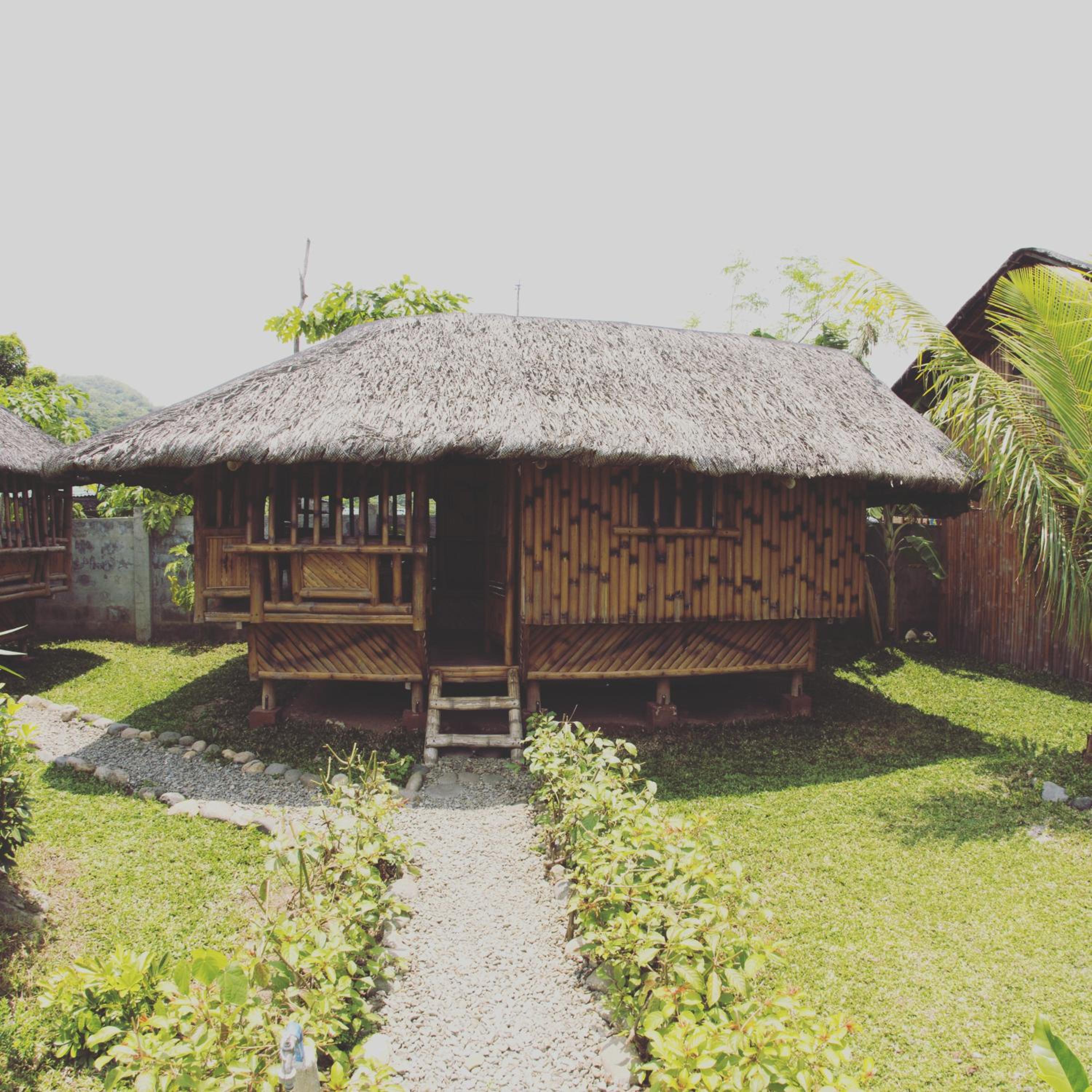 Filipino Kubo photo 1
