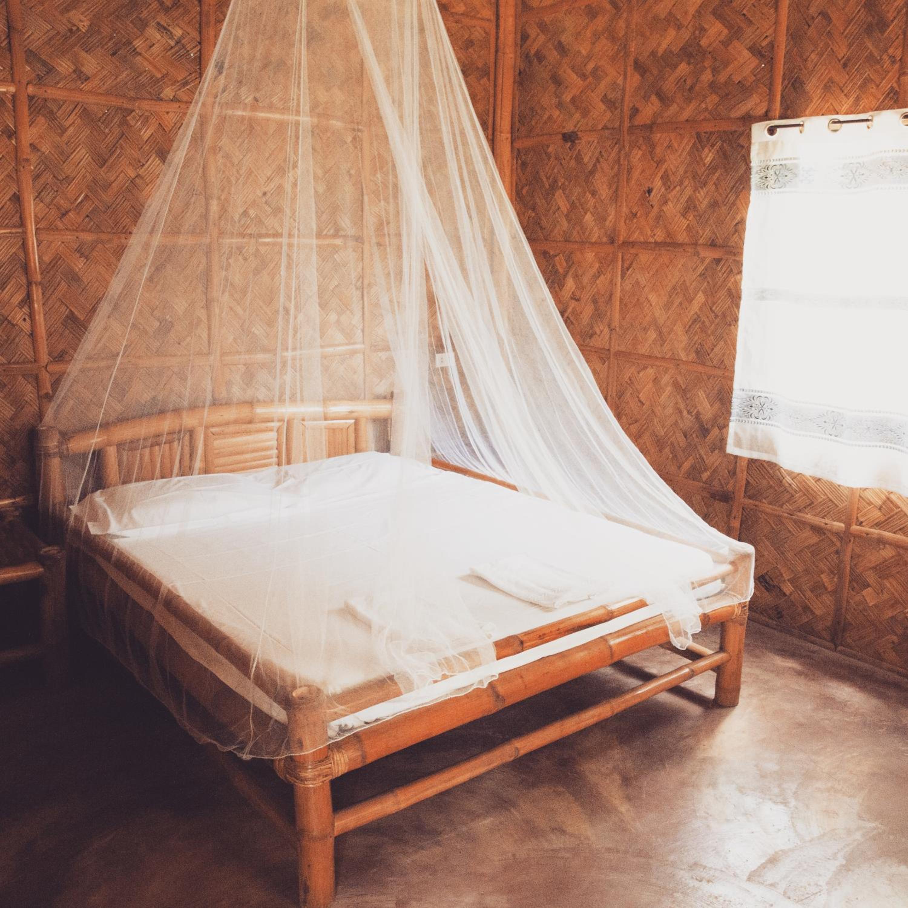 Bamboo House  photo 1