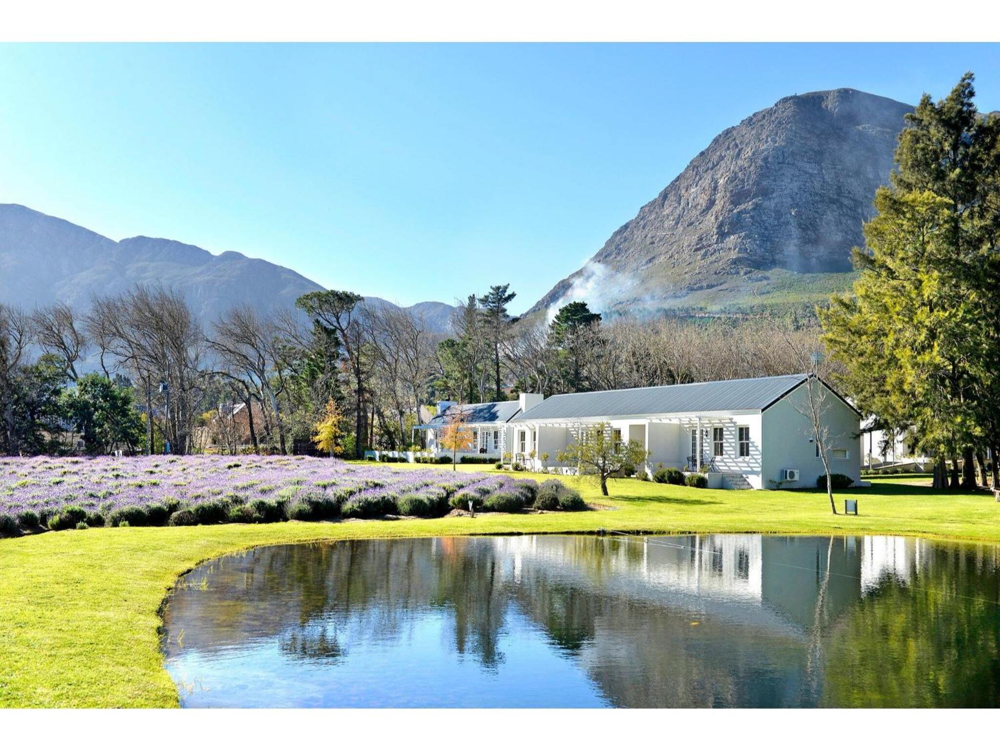 Honeymoon Suite with Lavender View photo 3