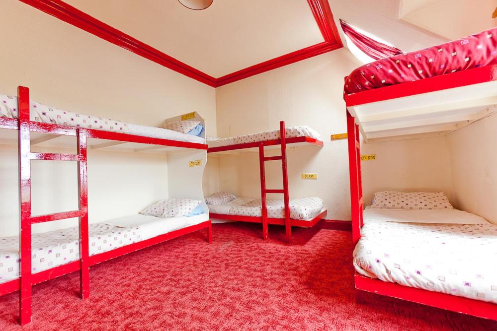 Bed in 8-Bed Mixed Dormitory Room photo 3