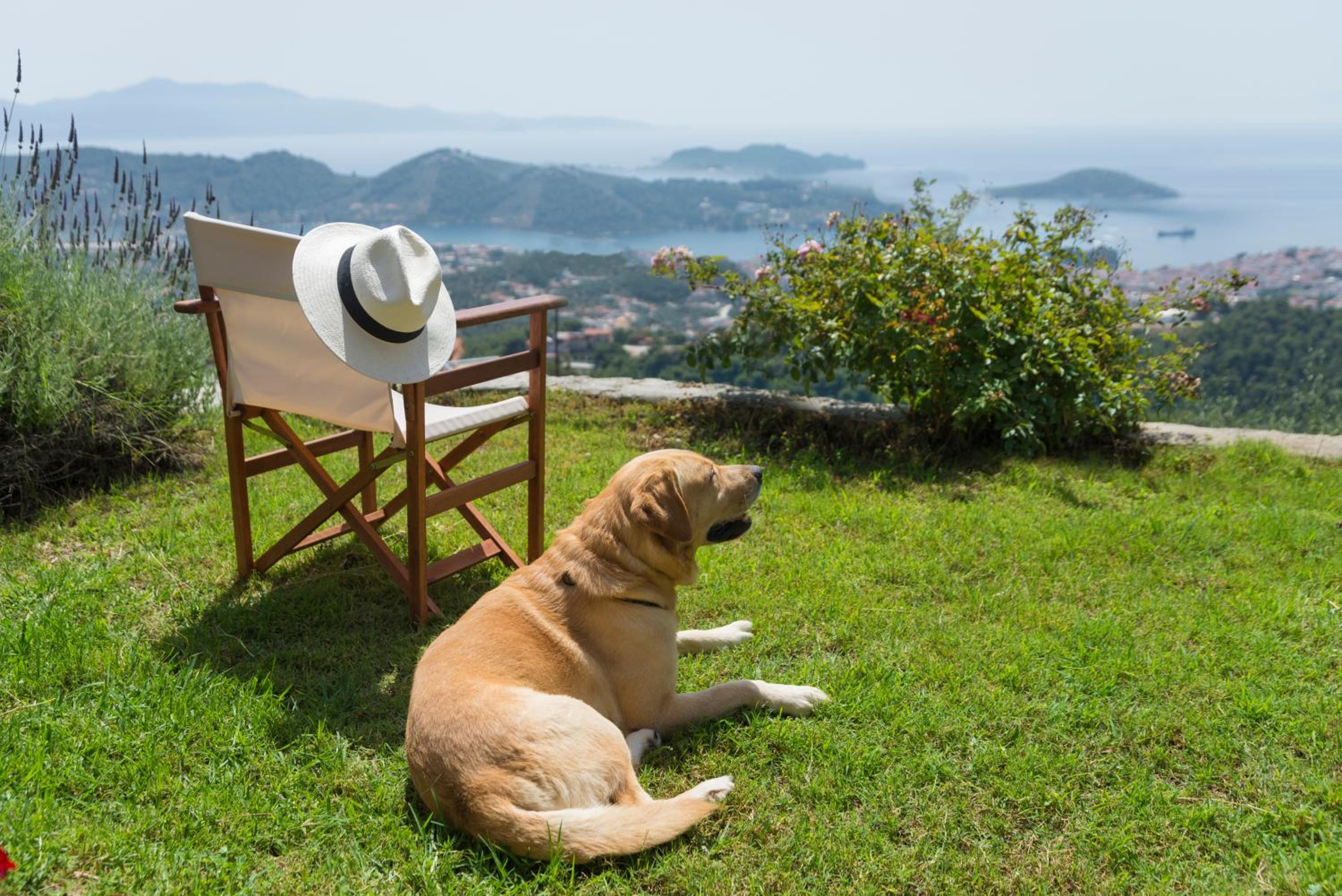 Villa Bourtzi photo 2