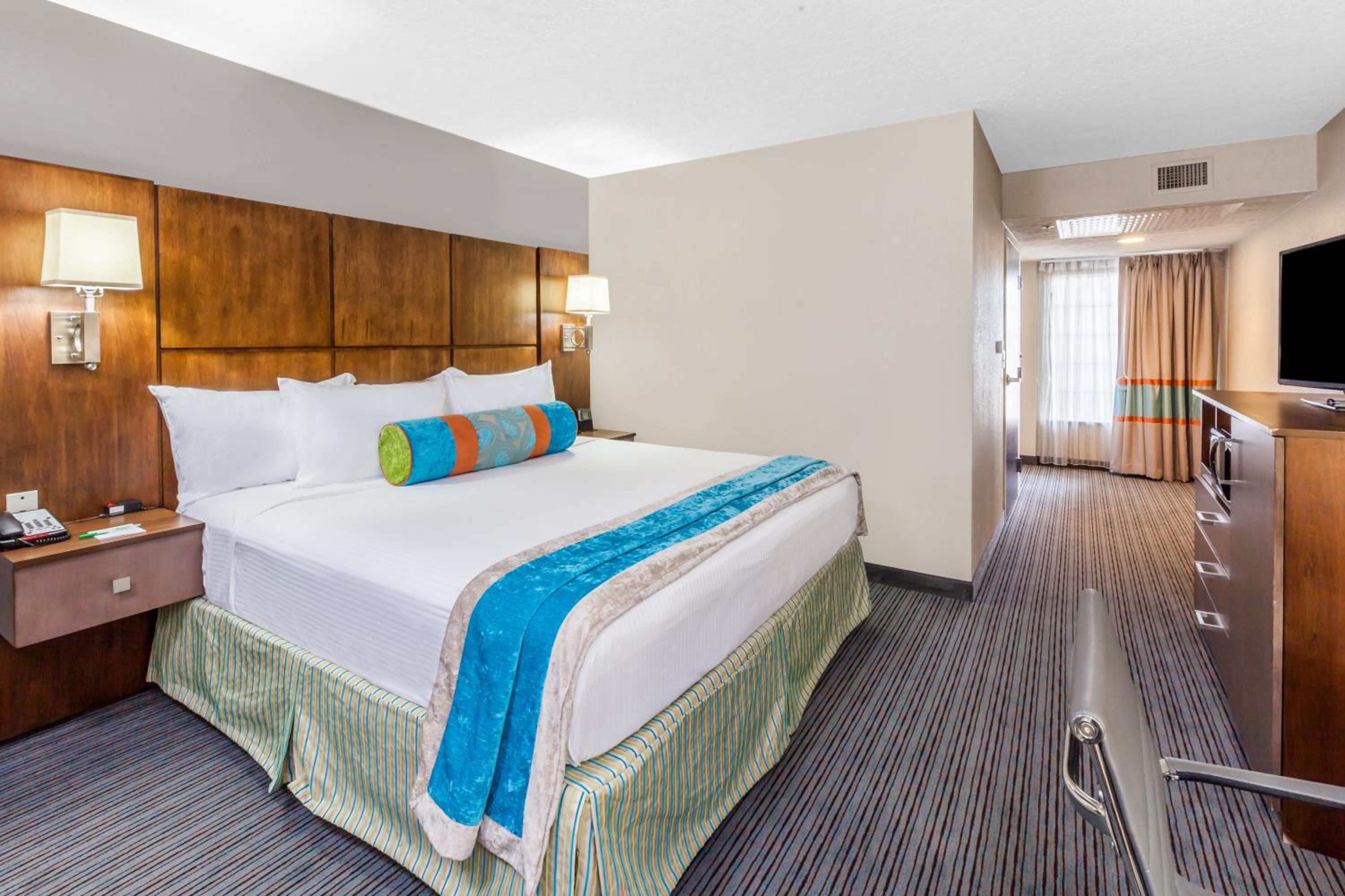 King Room with Roll-In Shower - Disability Access