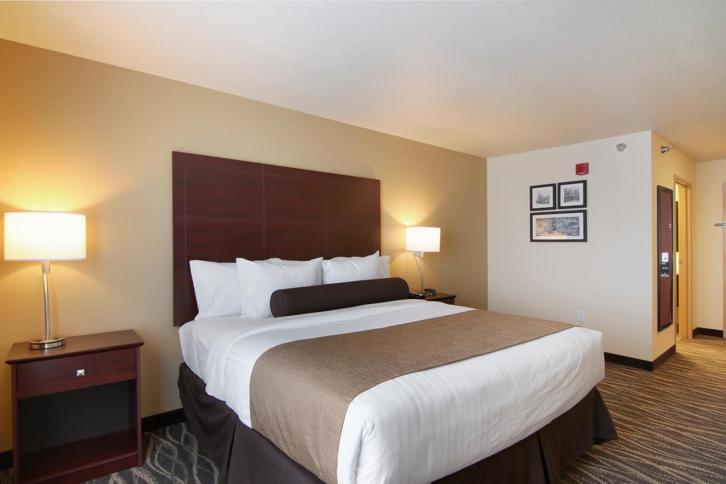 King Room photo 3
