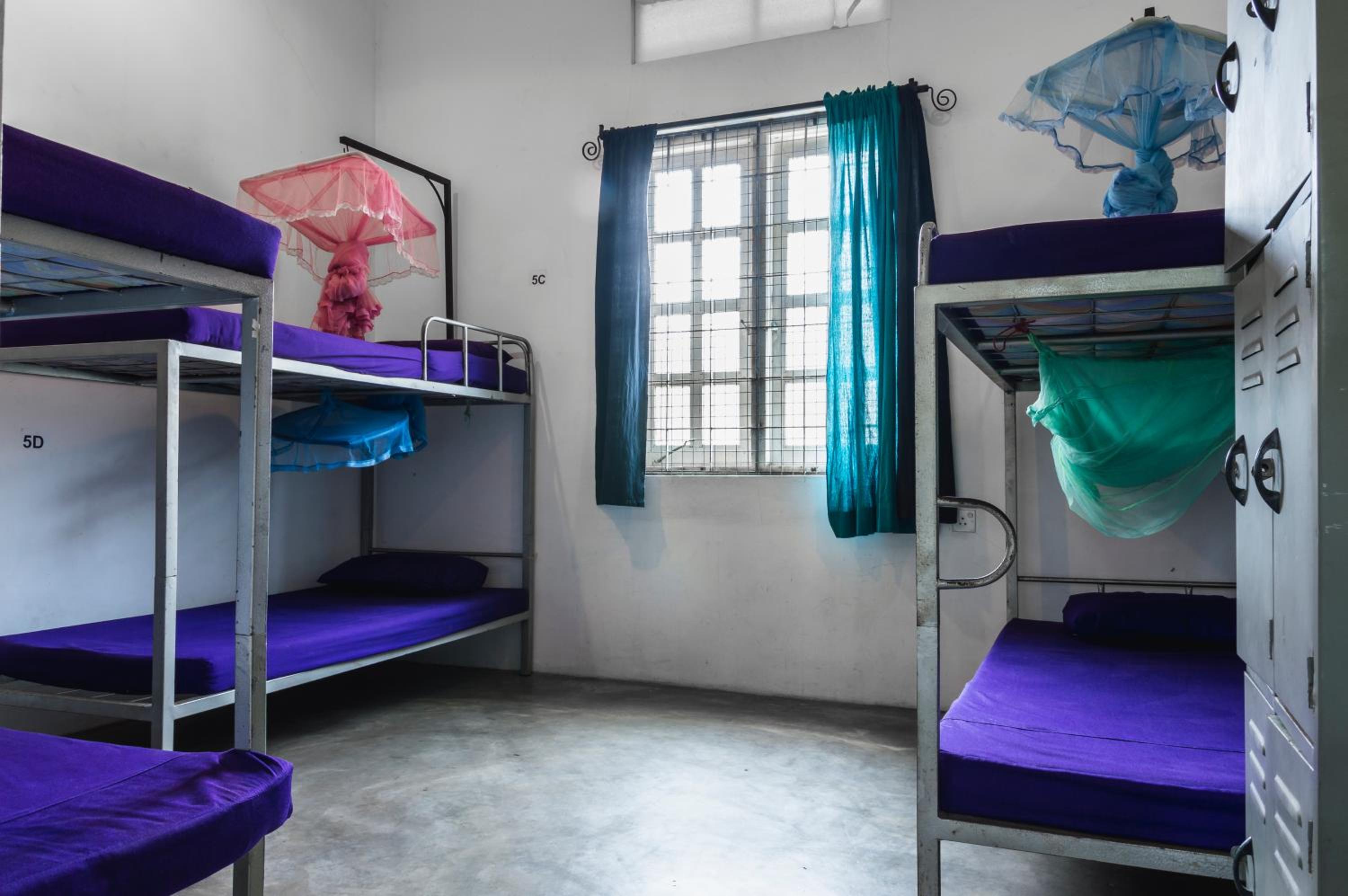 Bed in 6-Bed Female Dormitory Room photo 1
