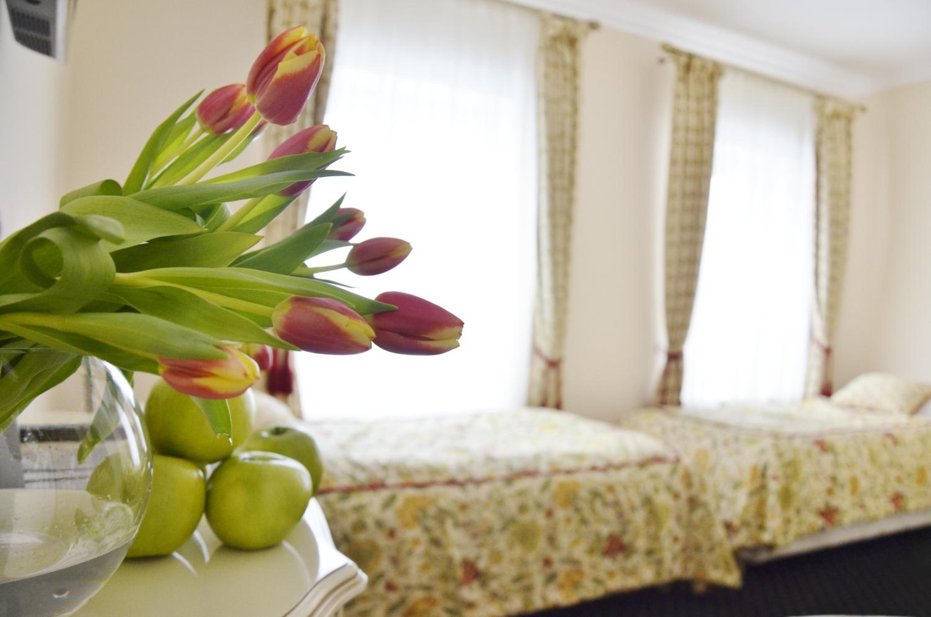 Standard Twin Room - Photo 4