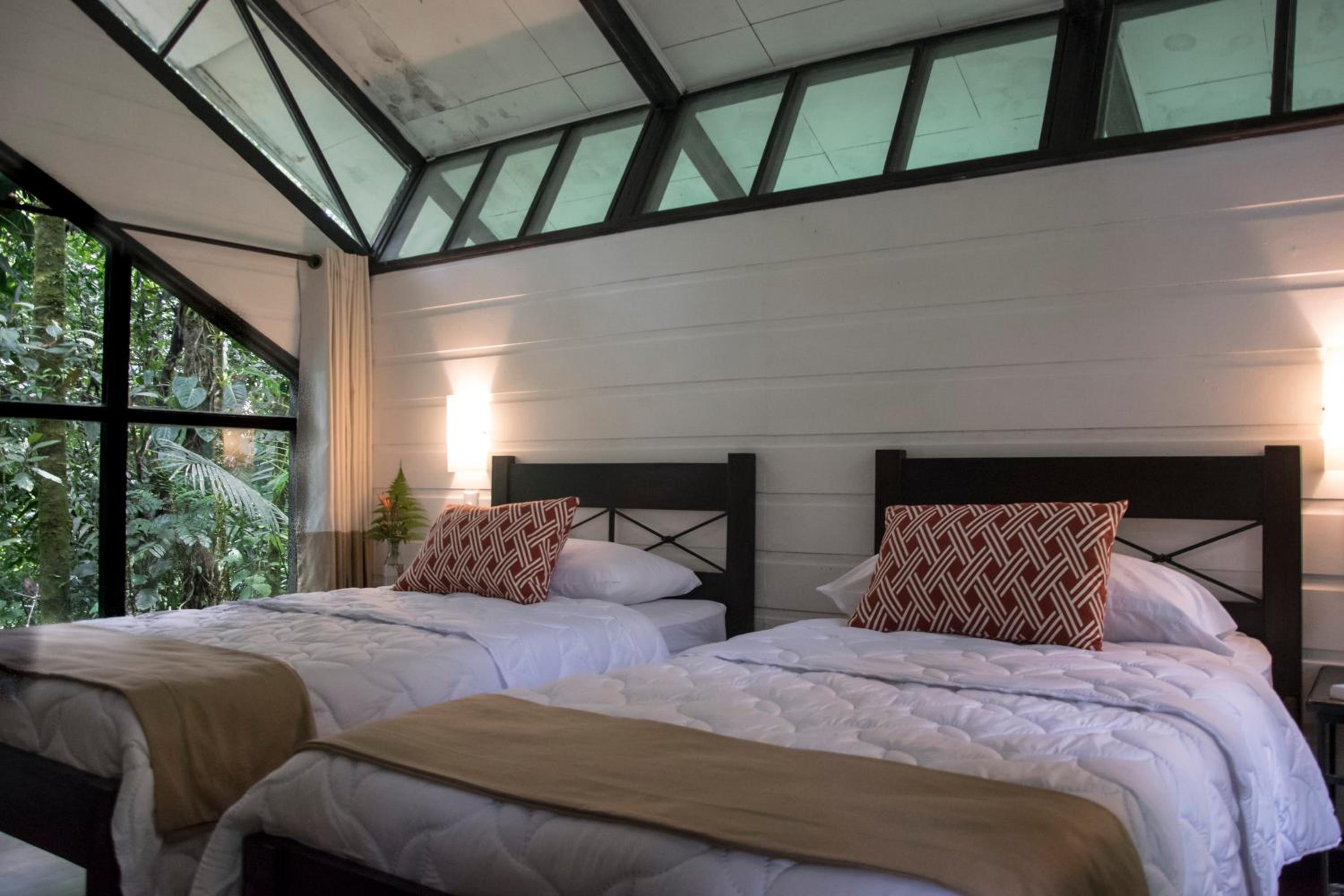Deluxe Room photo 3