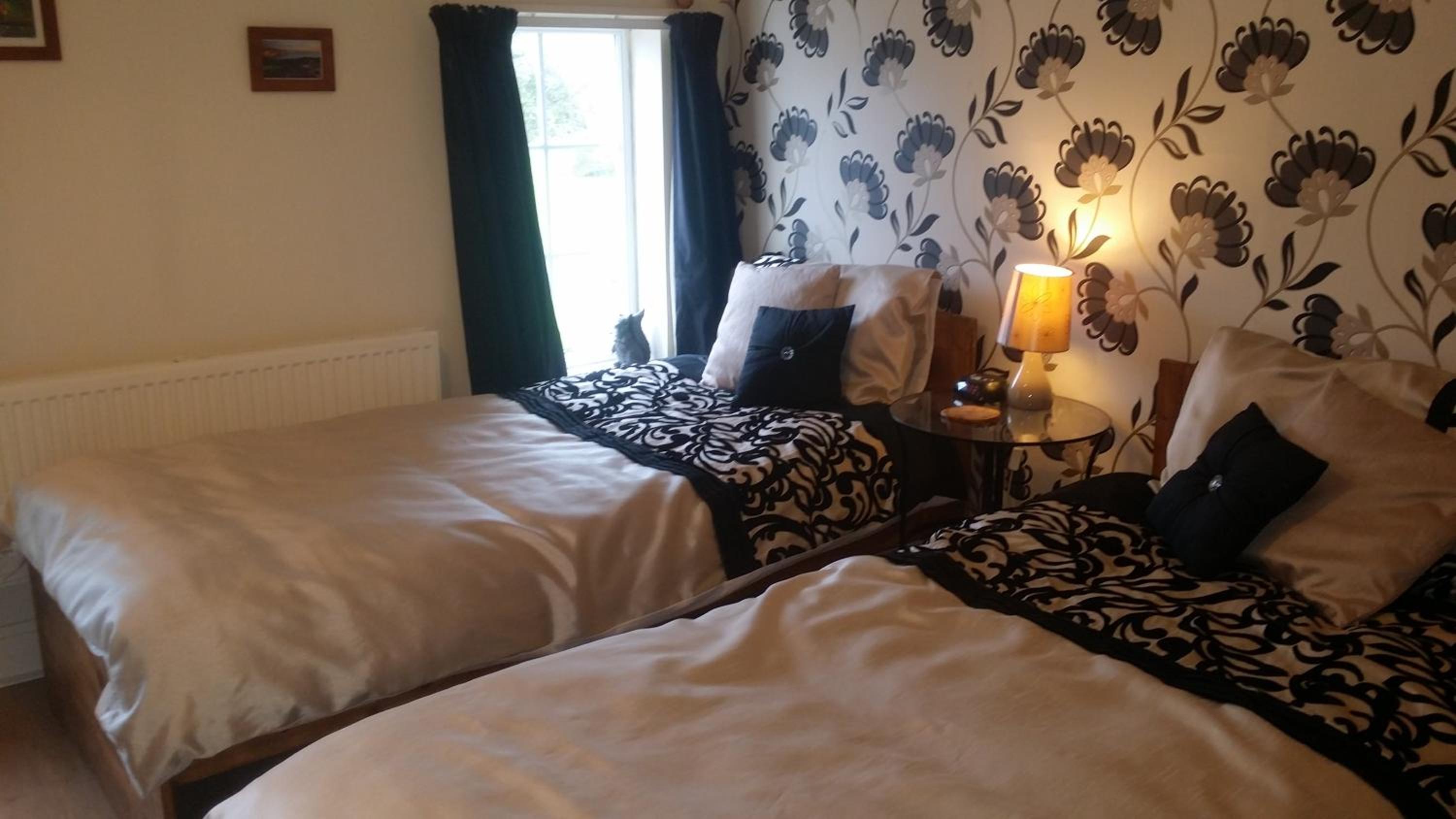 Double or Twin Room photo 3