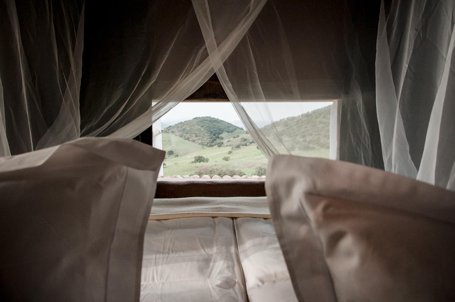 Deluxe King Suite photo 2