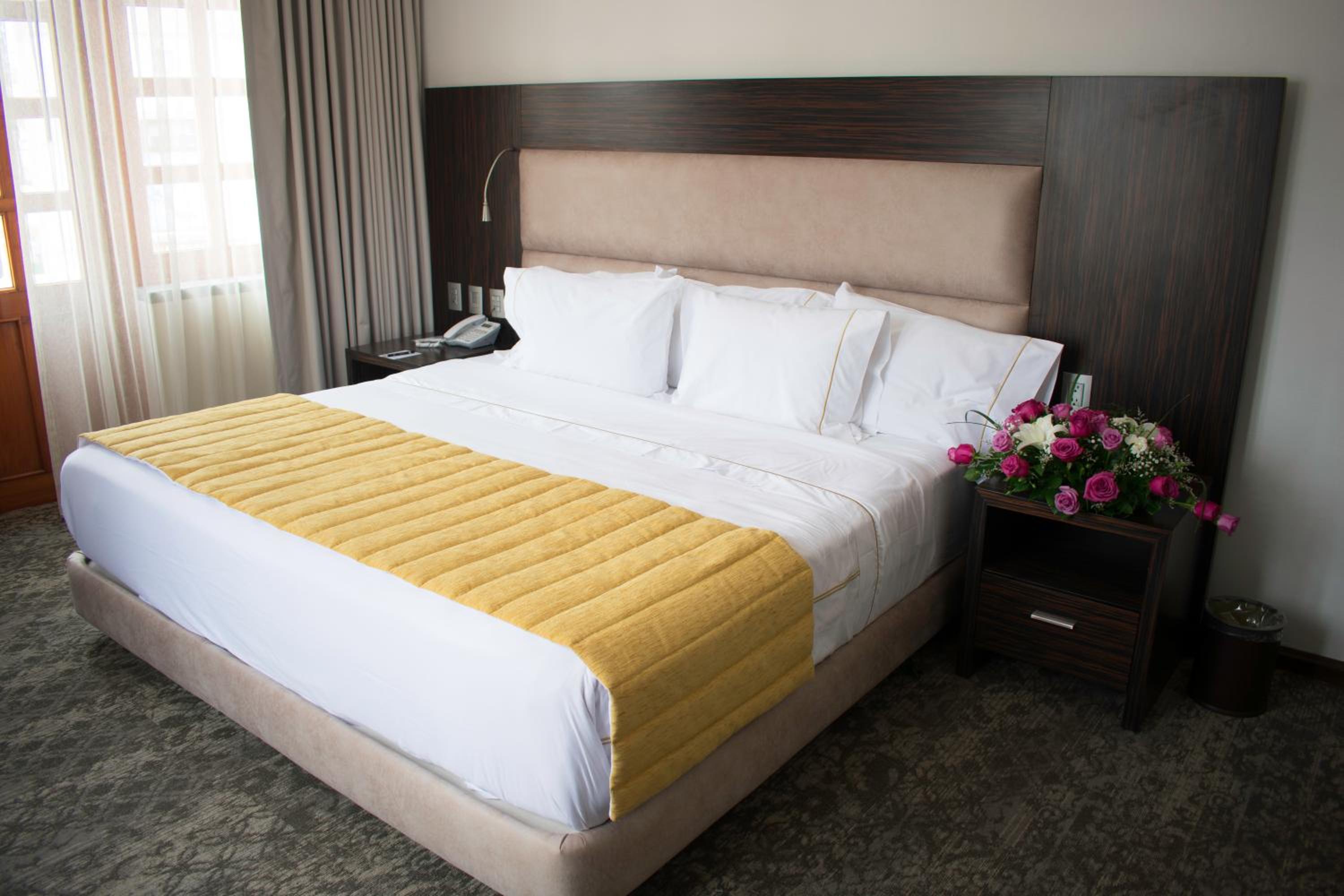 Standard Suite - Photo 1