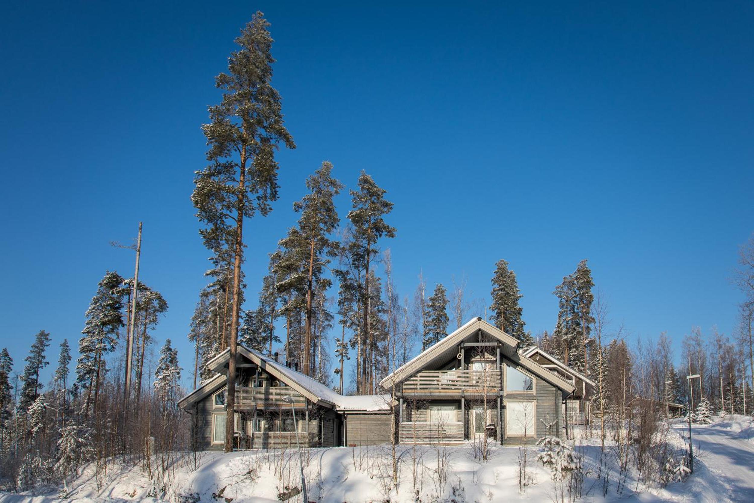 Three-Bedroom Chalet - Pyry - Photo 37