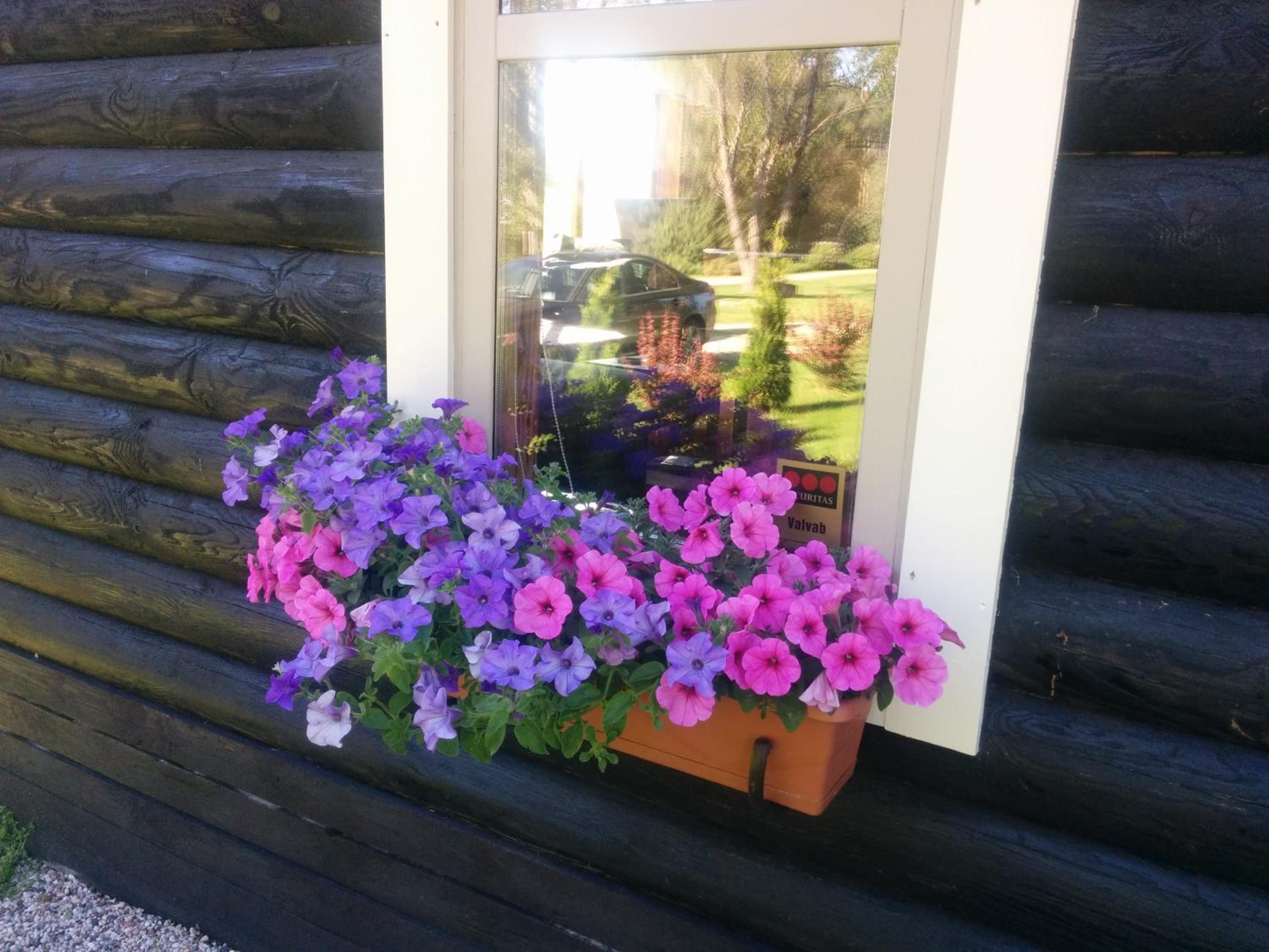 Vacation Home - Photo 23