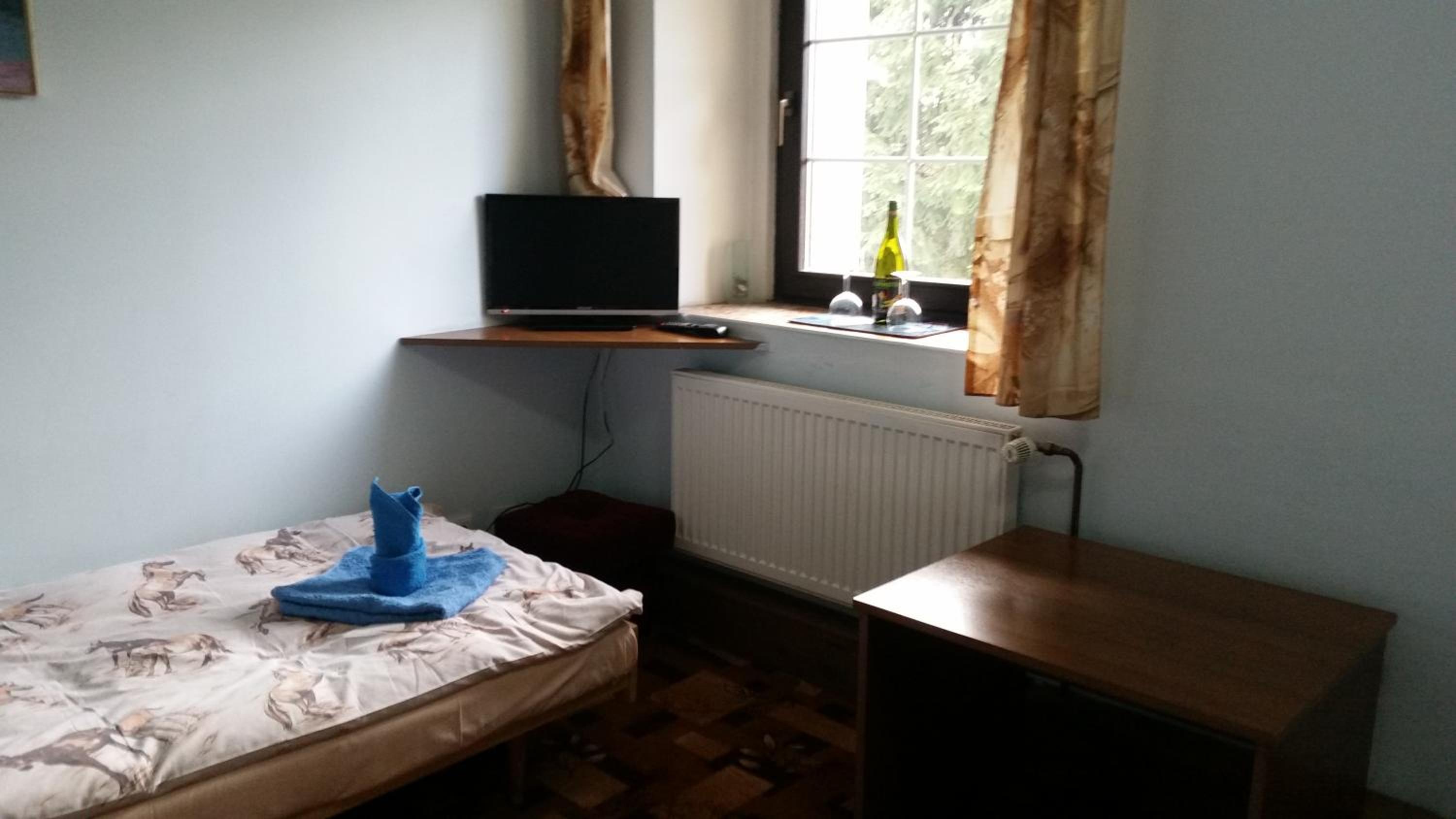 Classic Double or Twin Room photo 1