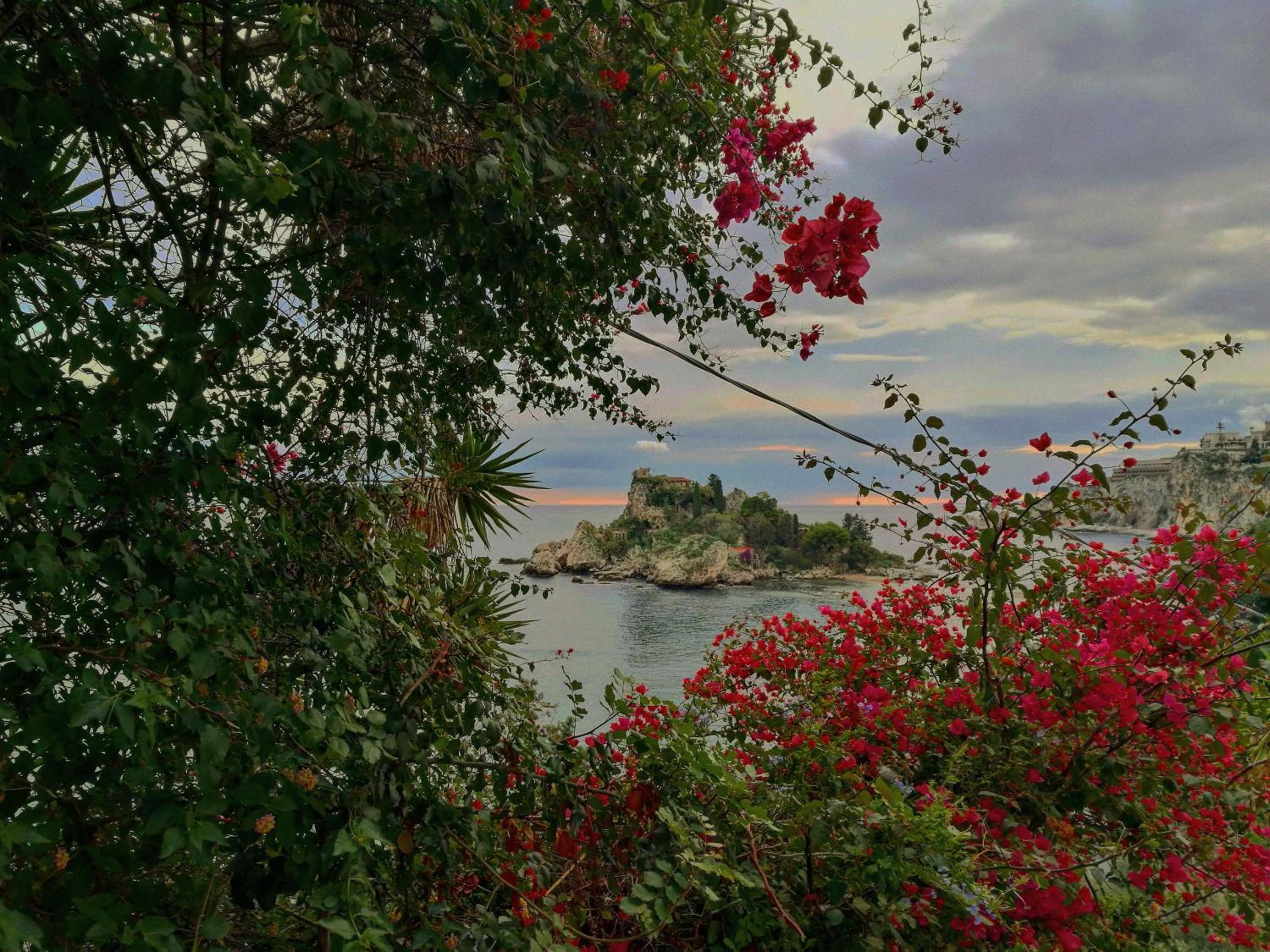 Vacation Home - Photo 8