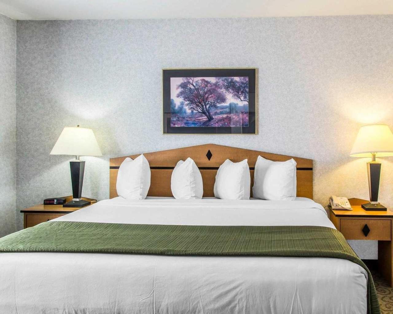 King Room - Non-Smoking - Photo 1