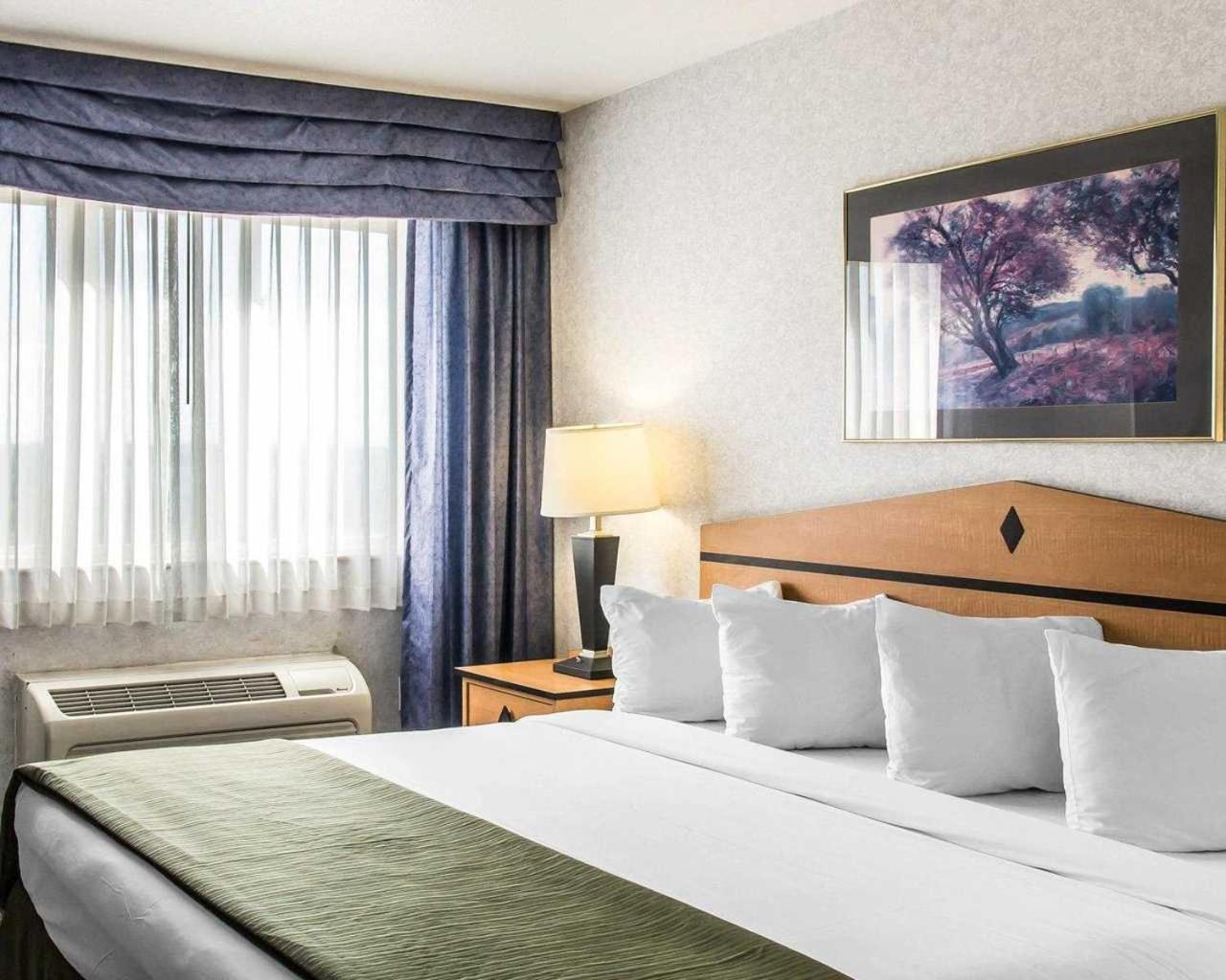 King Room - Non-Smoking - Photo 3