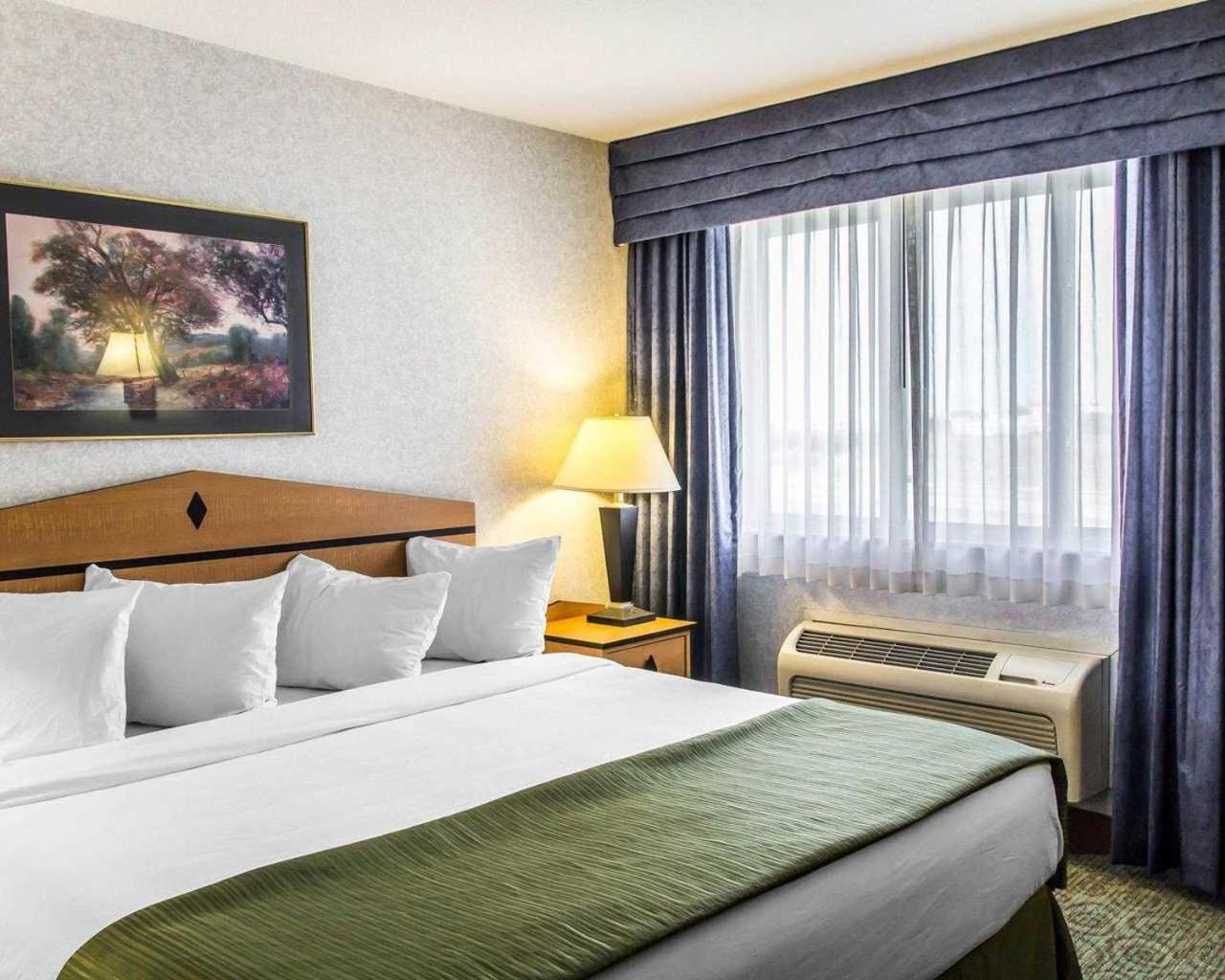 King Room - Non-Smoking - Photo 2
