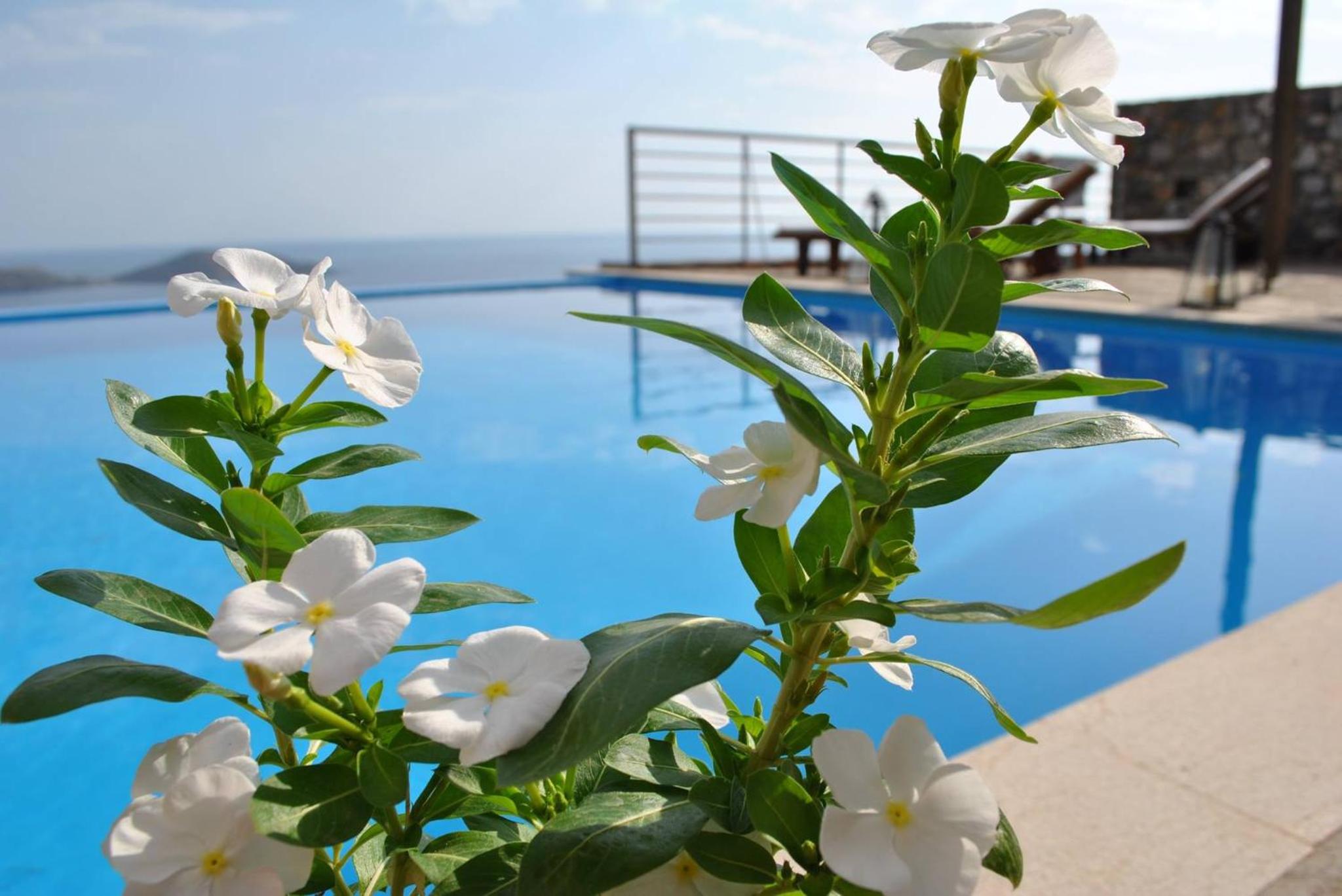 Villa With Sea View photo 2