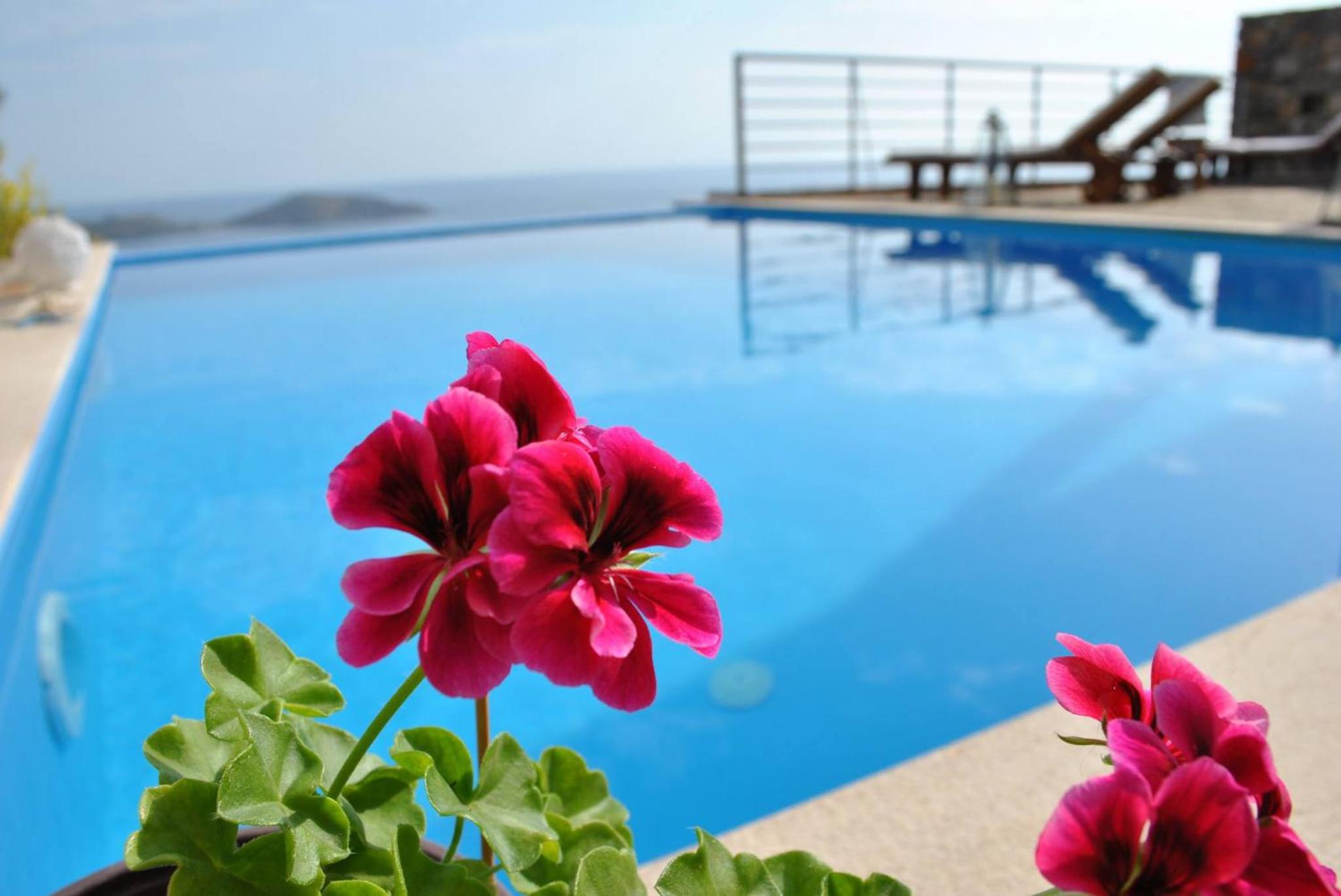 Villa With Sea View photo 3