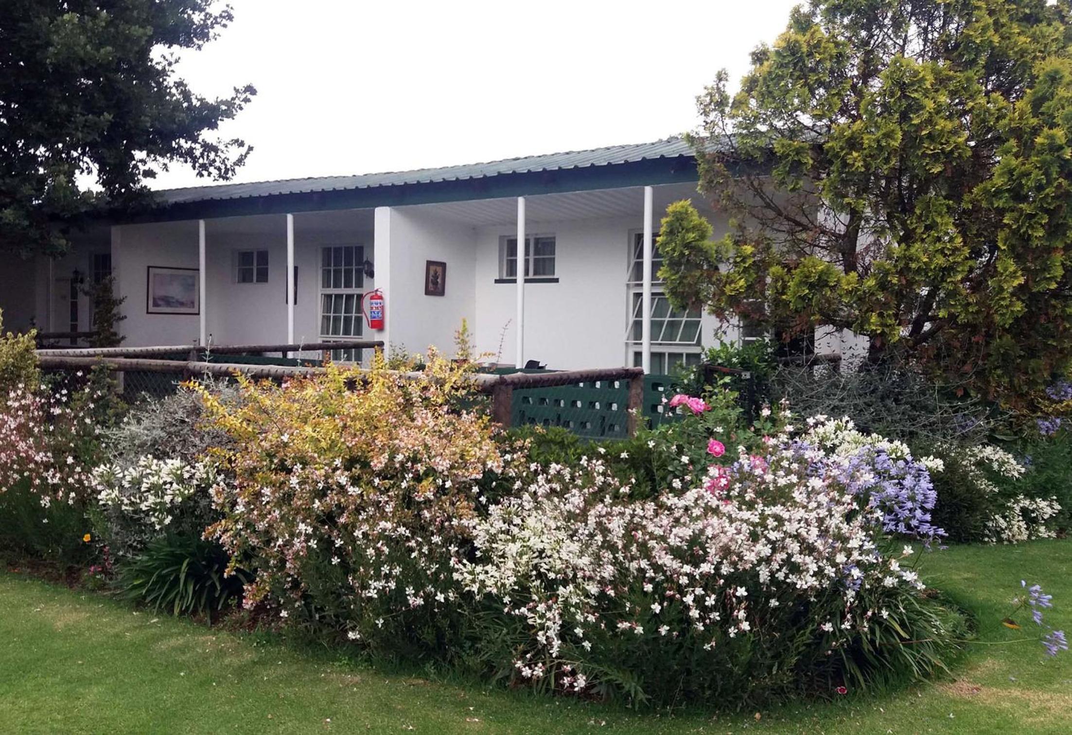 Pet Friendly Garden Cottage - Photo 4