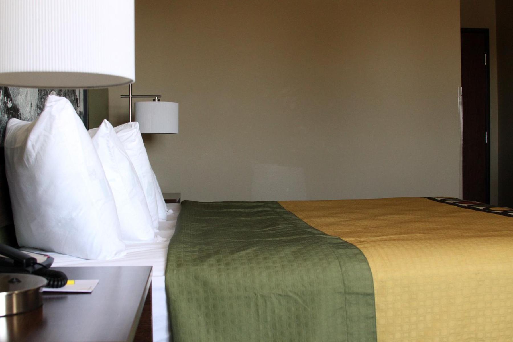King Room- Non-Smoking - Photo 22
