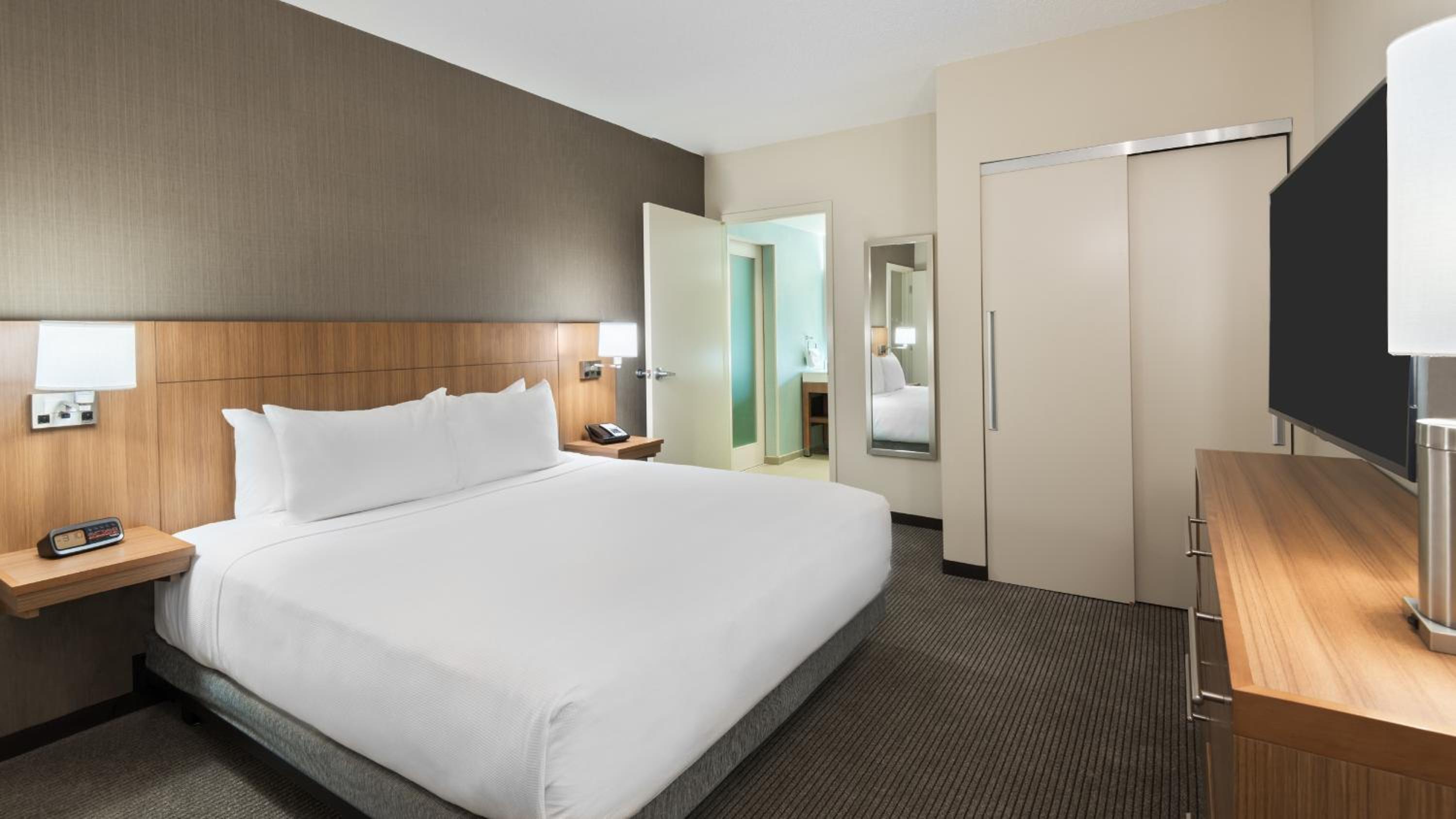 One-Bedroom King Suite with Sofa Bed