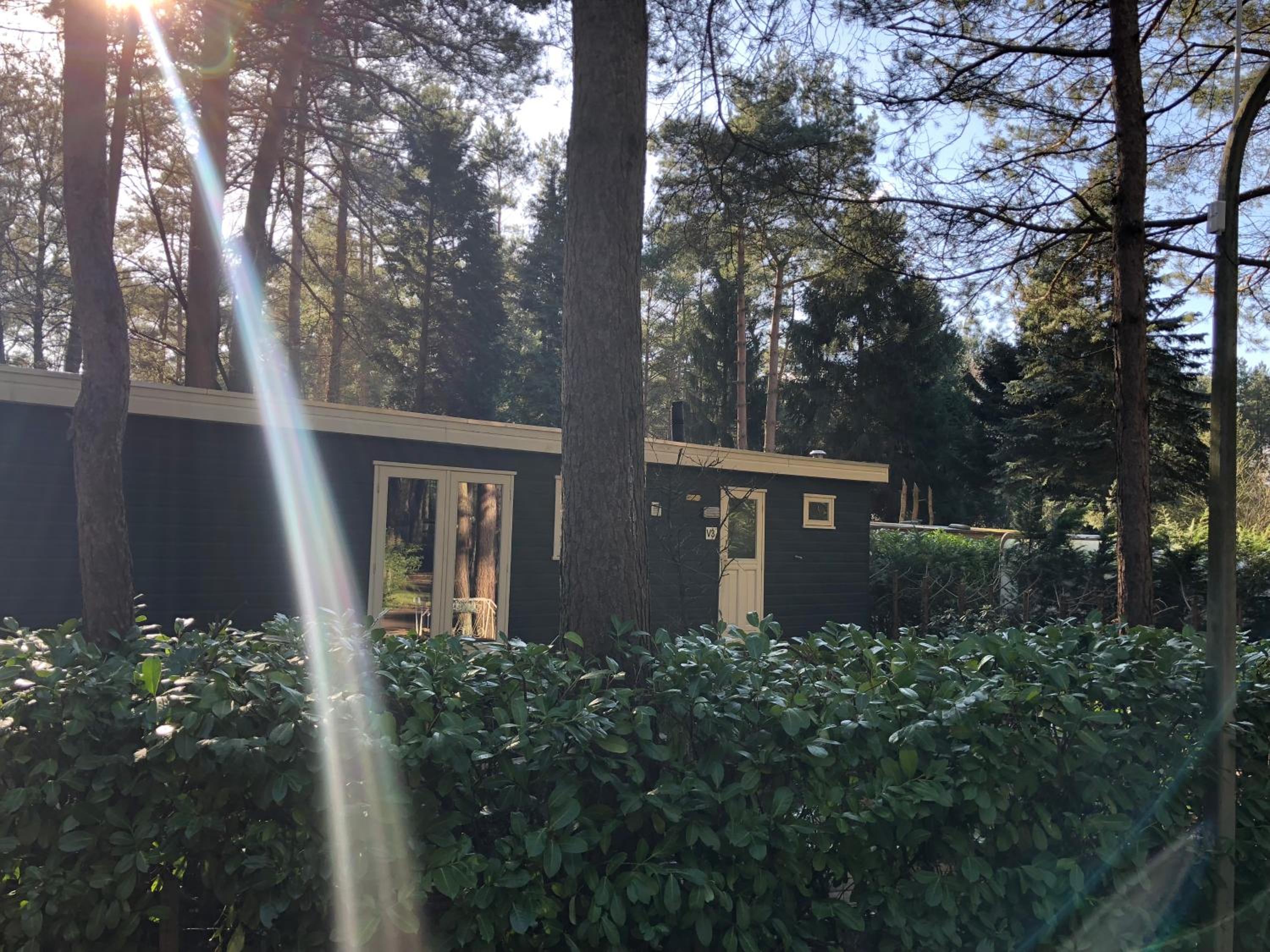 Chalet photo 3
