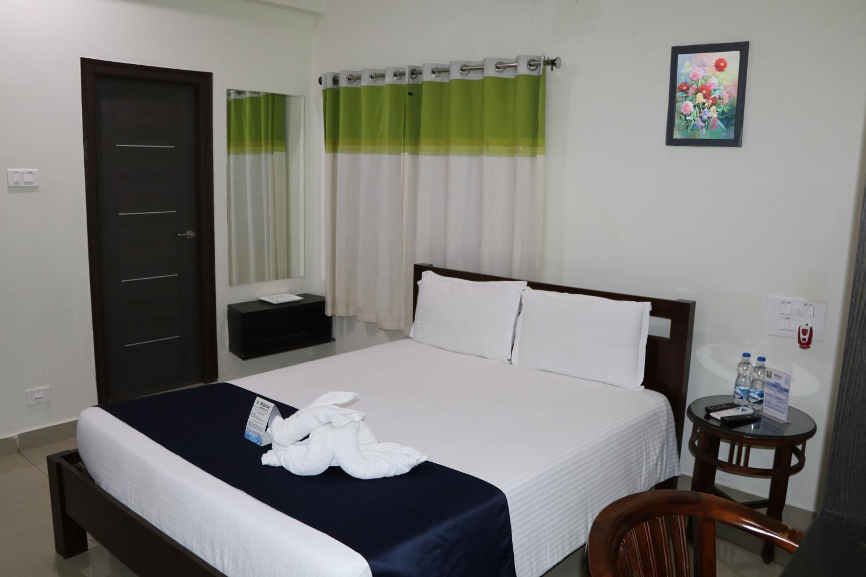 Deluxe Double Room photo 3