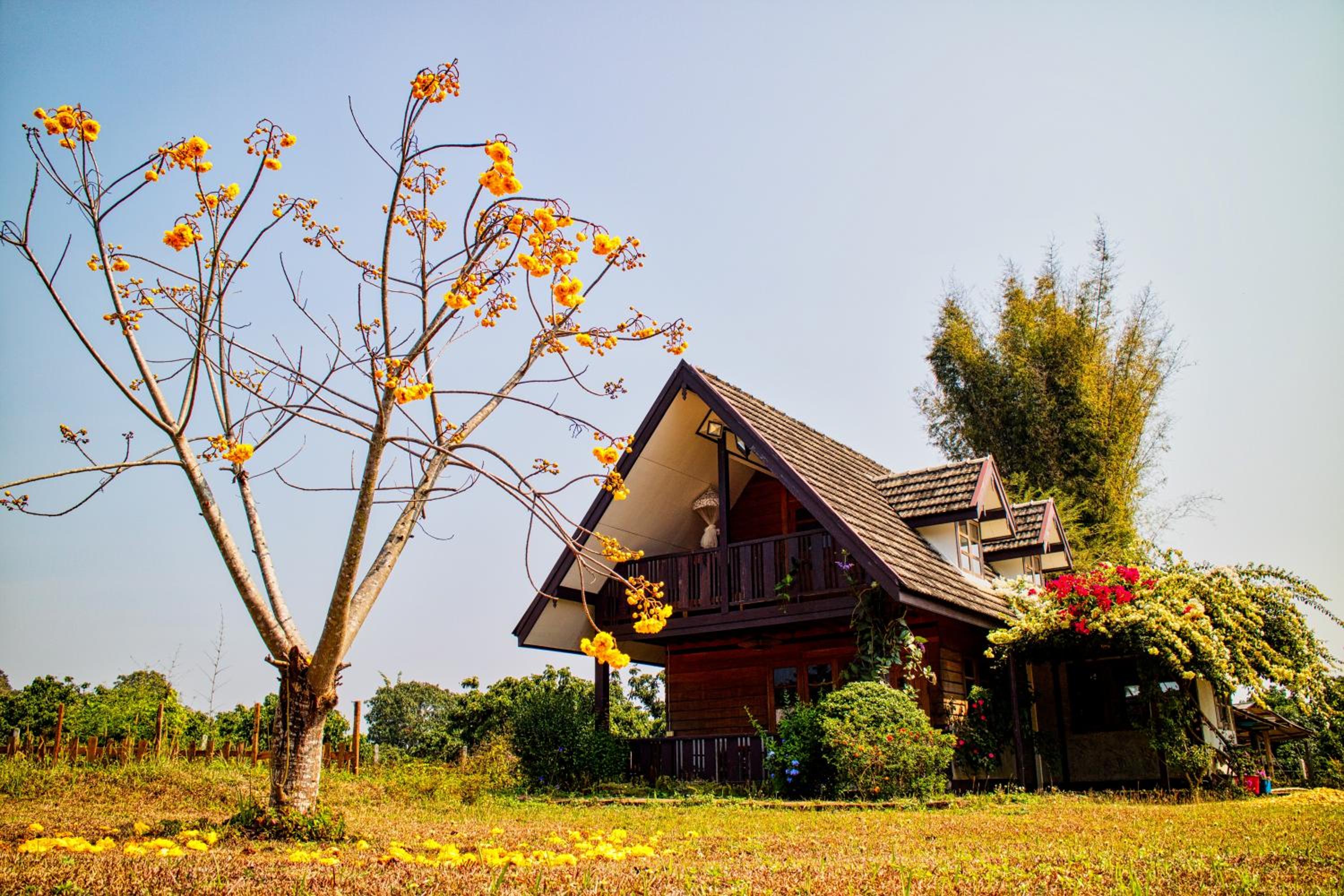 One-Bedroom House - Photo 34